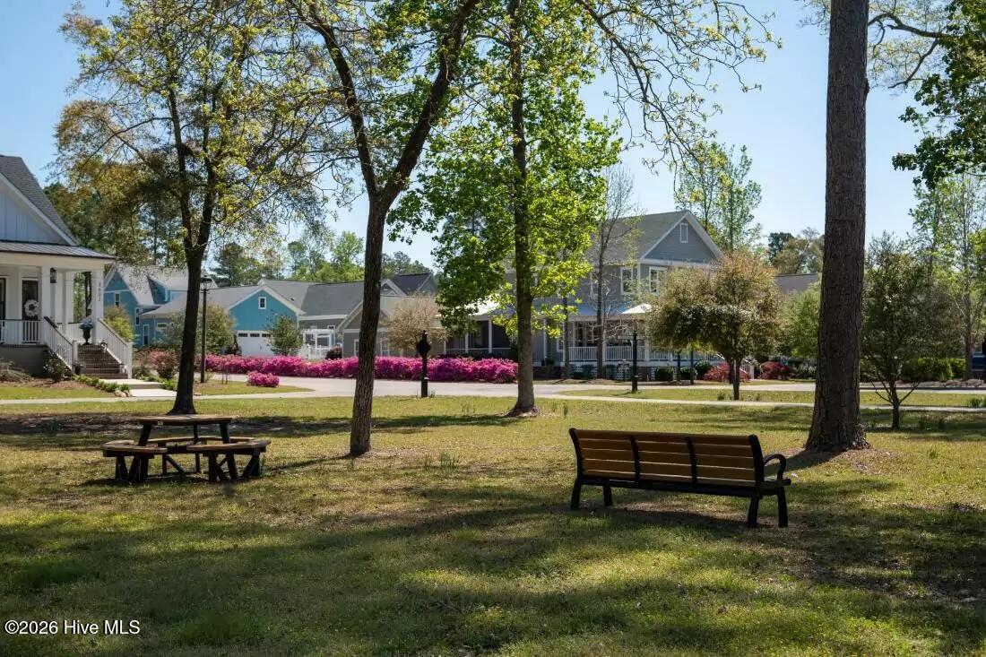 100547594 | Photo 49