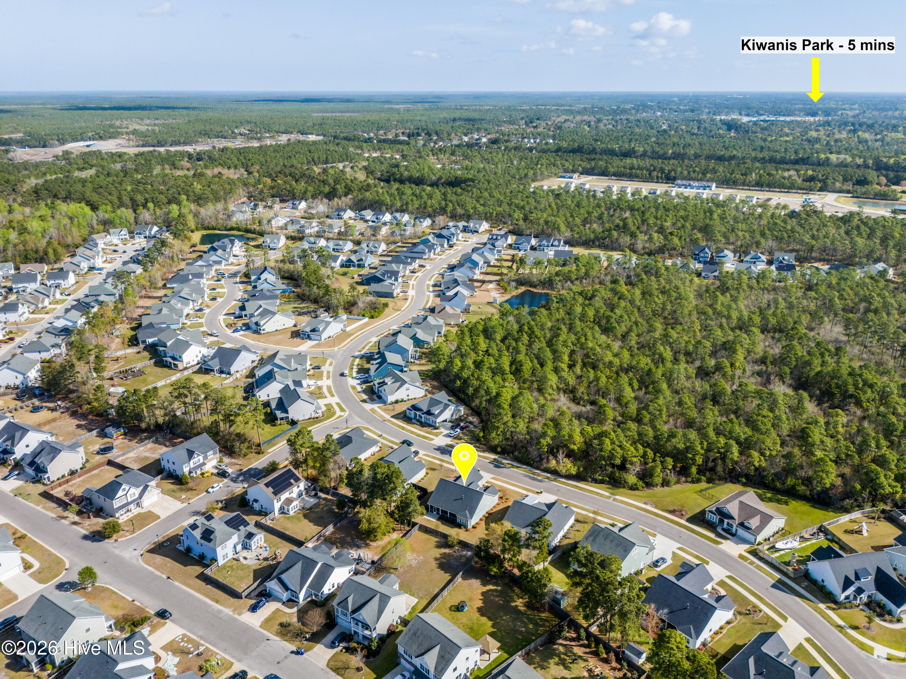 100564151 | Photo 39