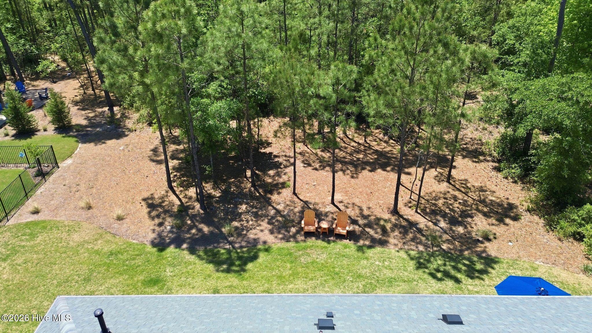 100569004 | Photo 64