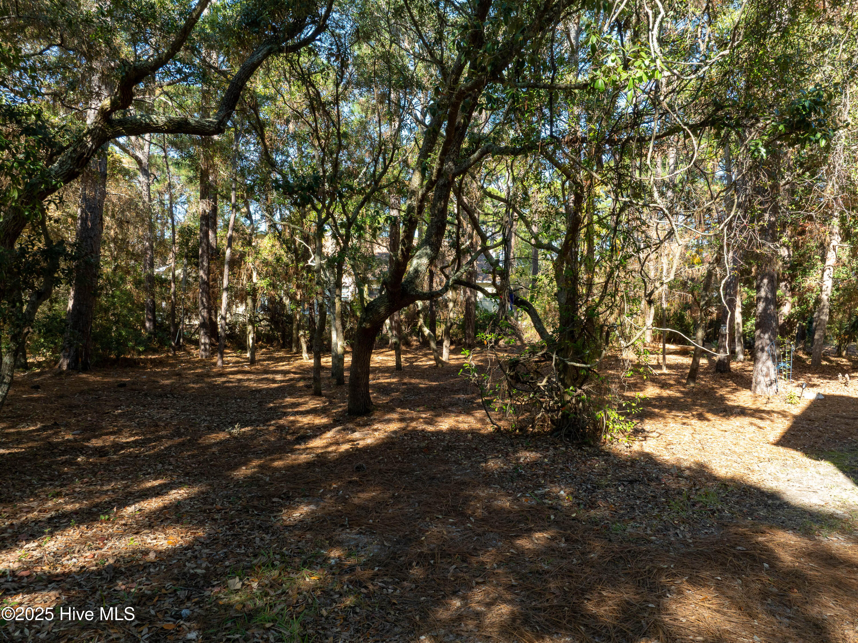 100542909 | Photo 52