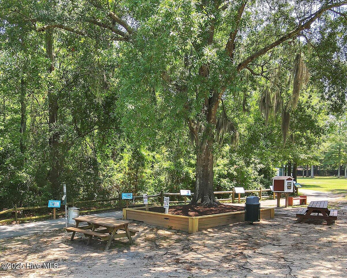 100527070 | Photo 42