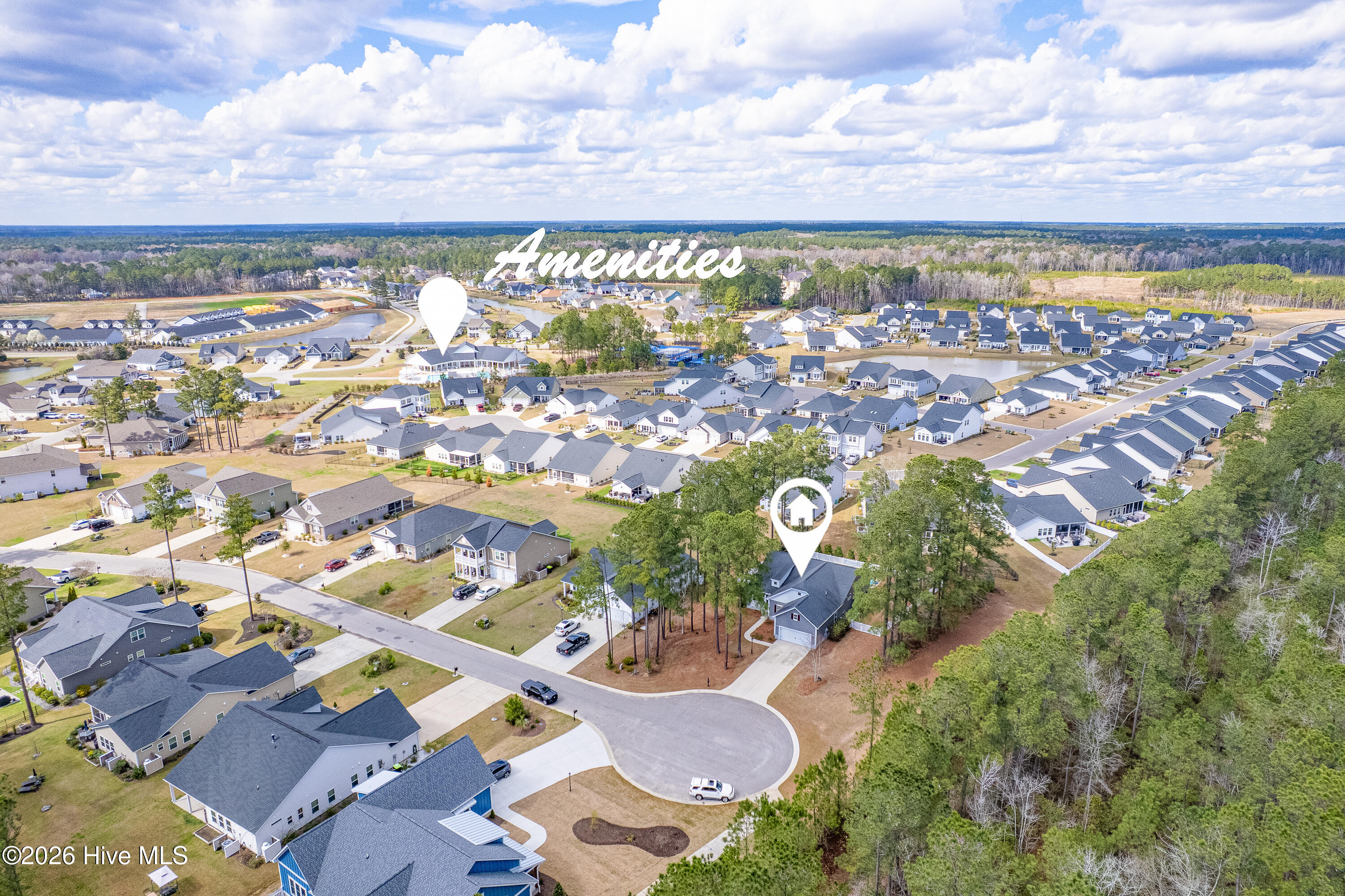 100559447 | Photo 42