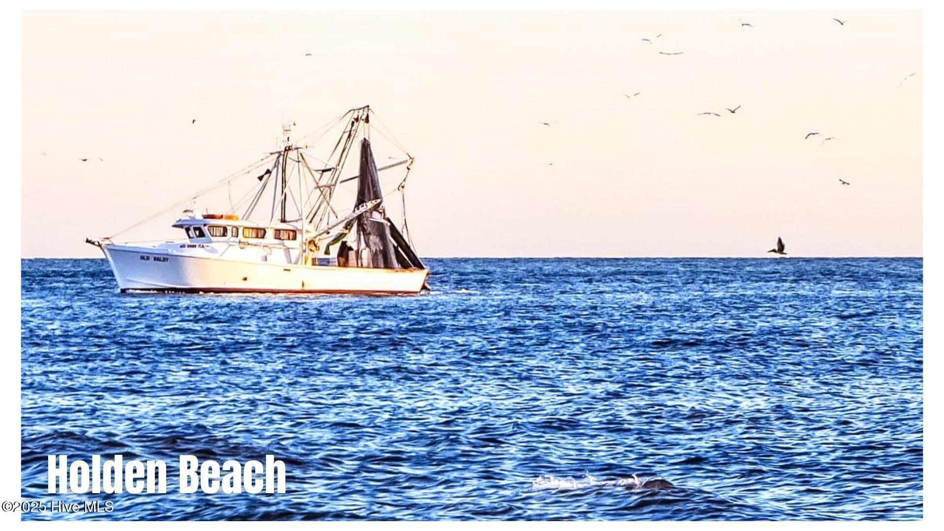 100540899 | Photo 60