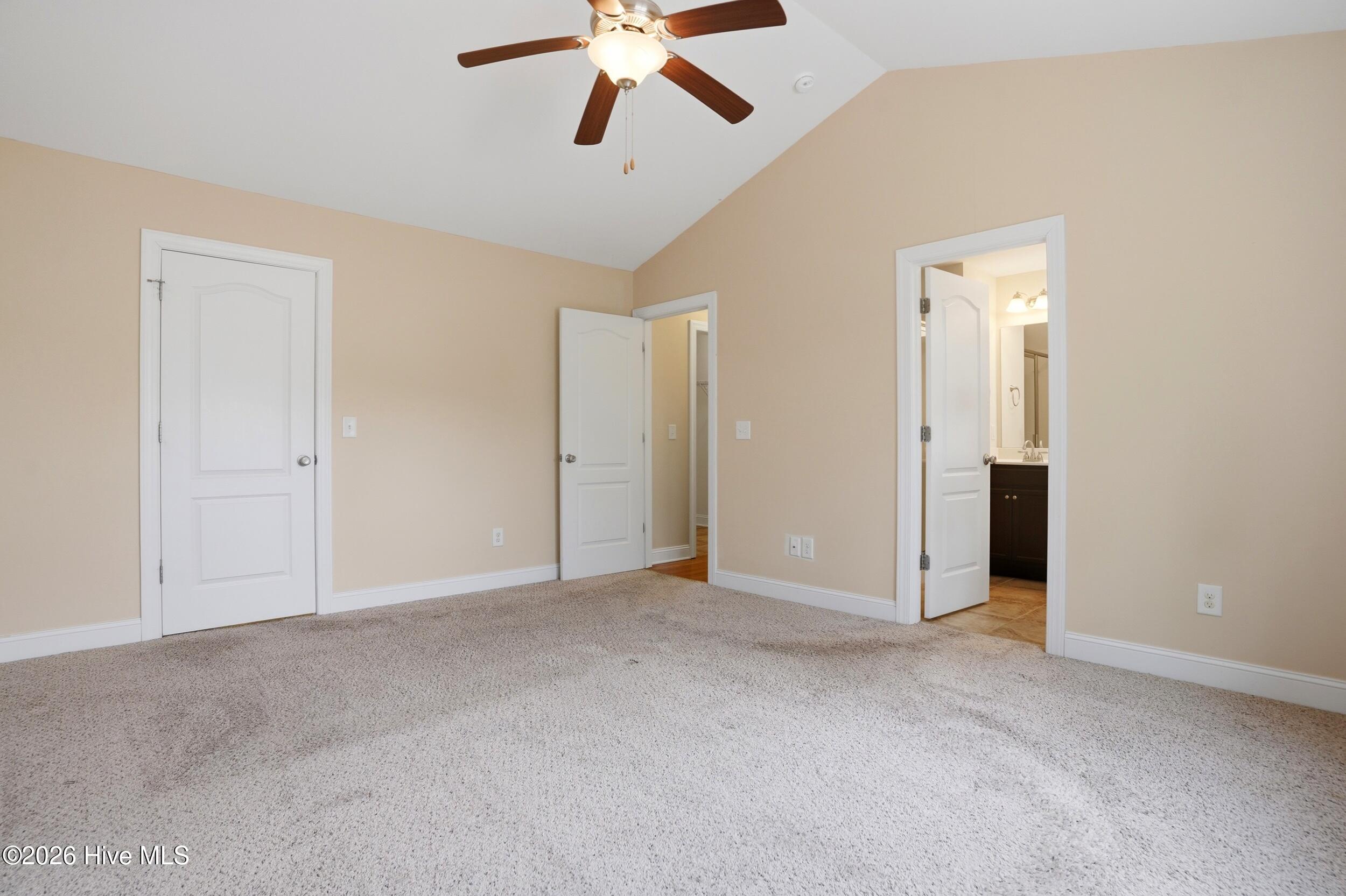 100564598 | Photo 18