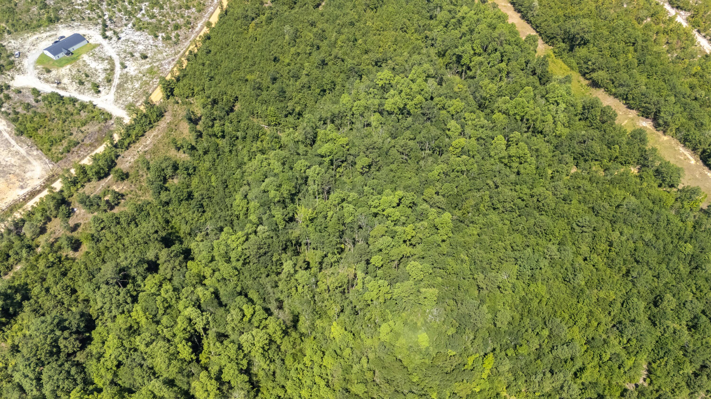 Homes for sale in Wrens, GA | 2576 Jessie James Pond Rd, Wrens, GA 30833 | MLS# 546789