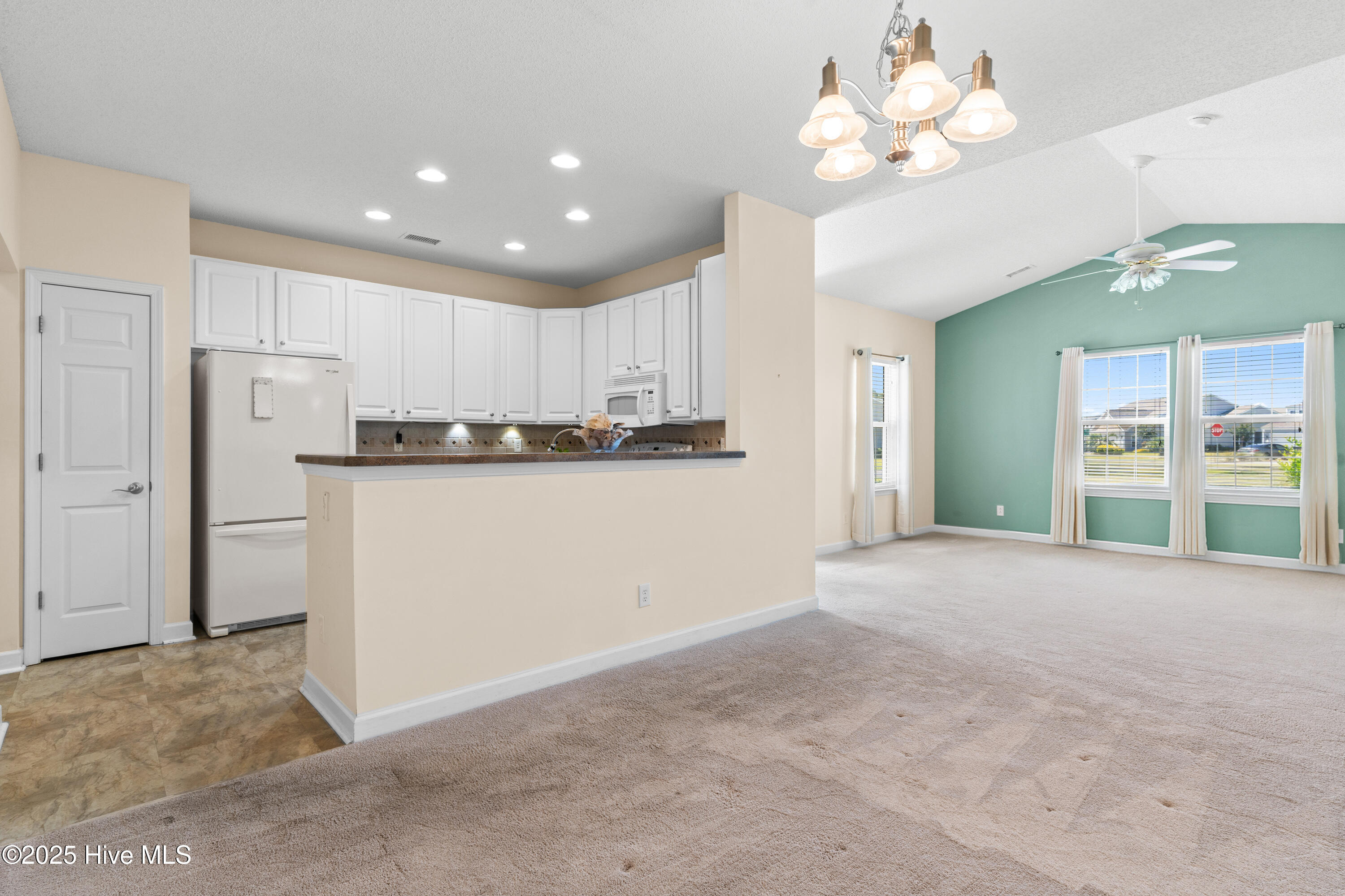 100529501 | Photo 12