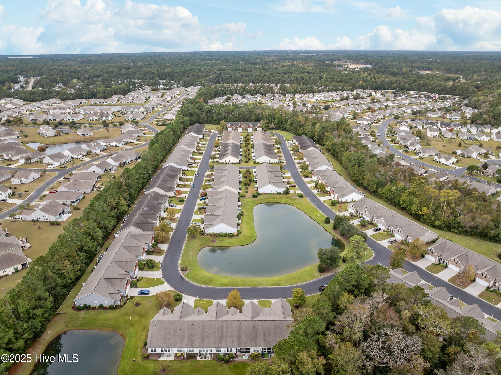 100538741 | Photo 51