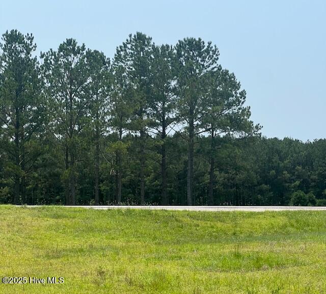 118 Pond Brothers Road, Hamlet, NC, 28345