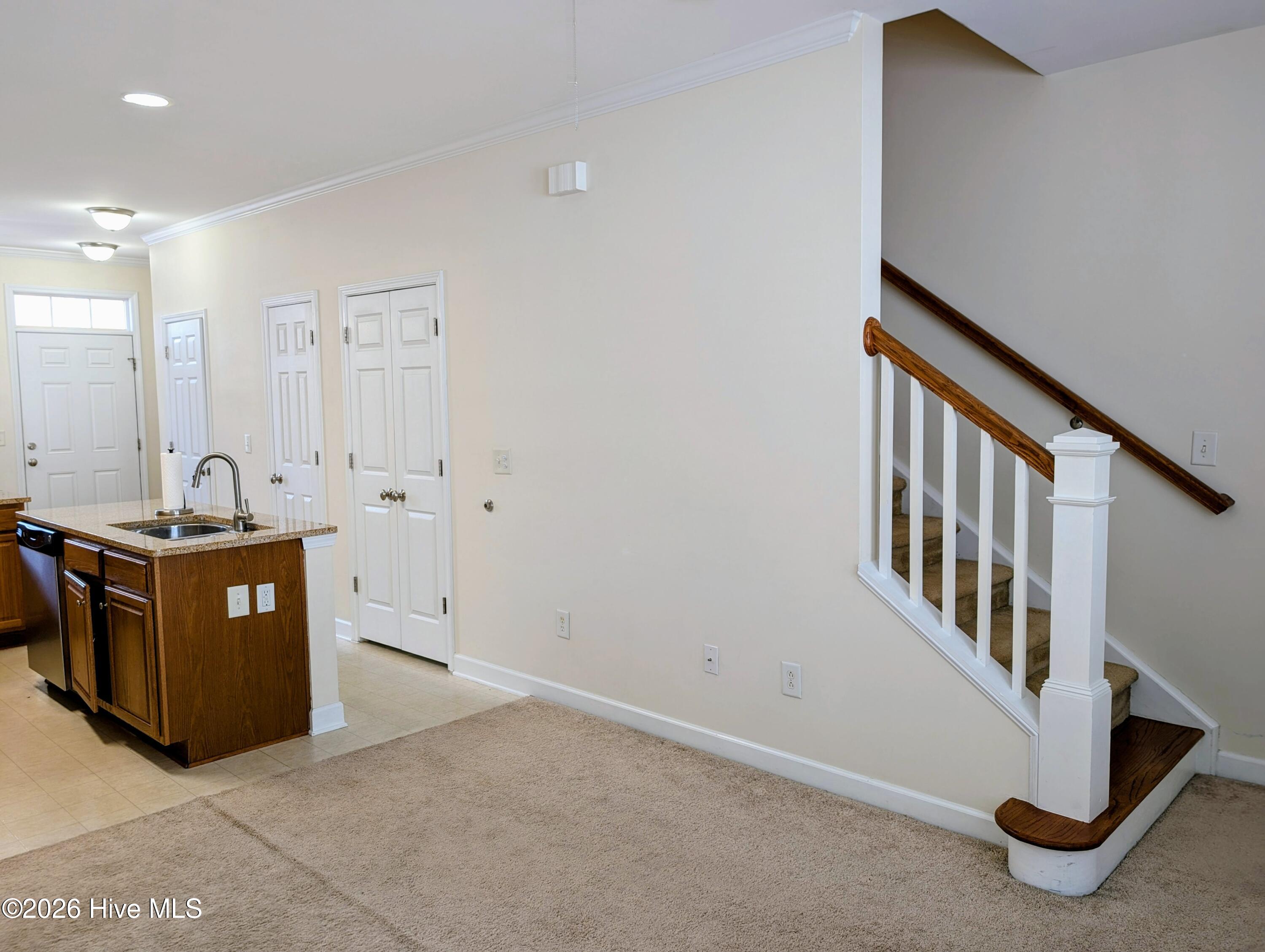 100555293 | Photo 10