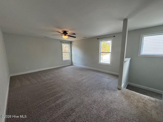 100550451 | Photo 15