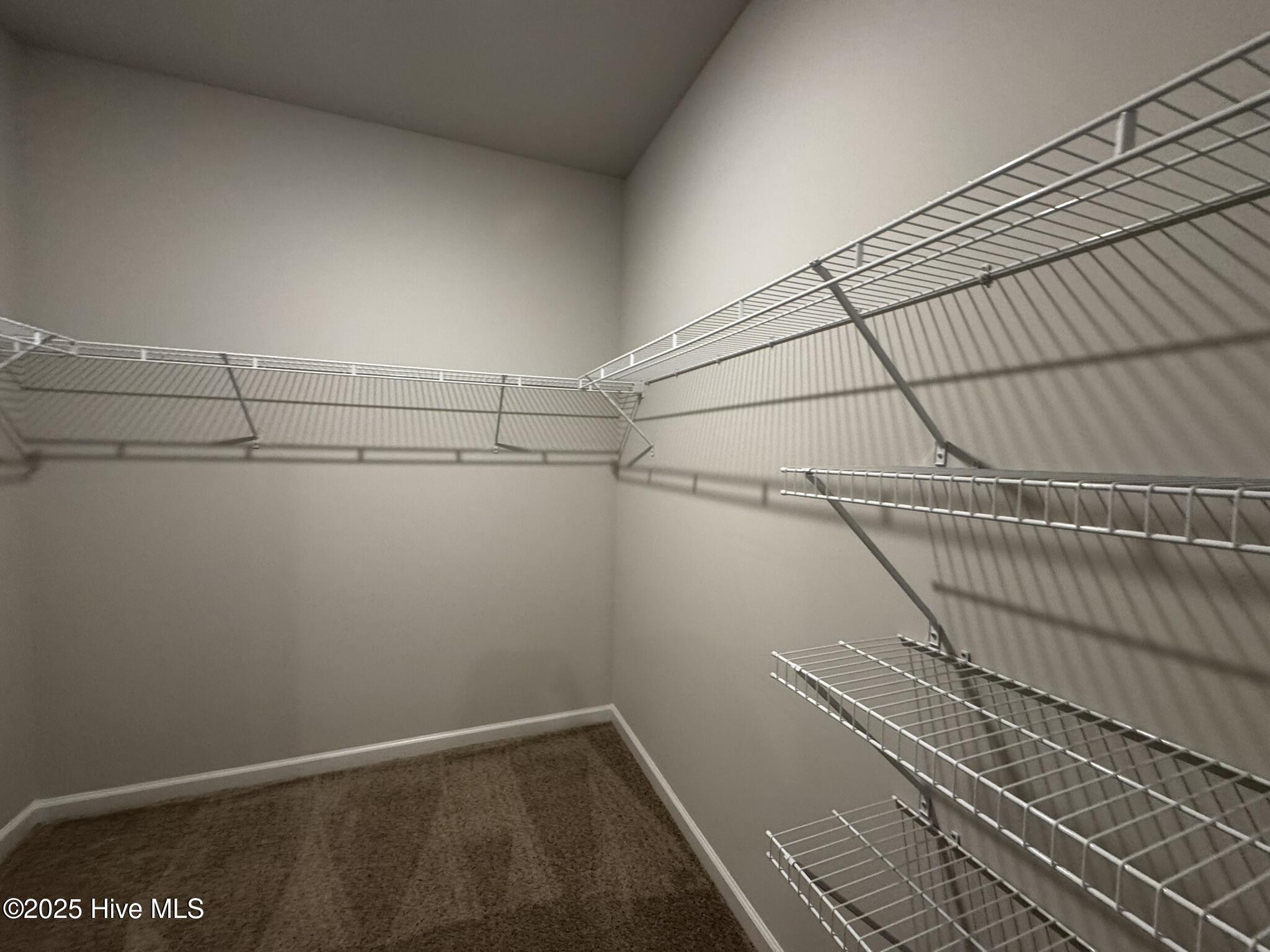 100565961 | Photo 19