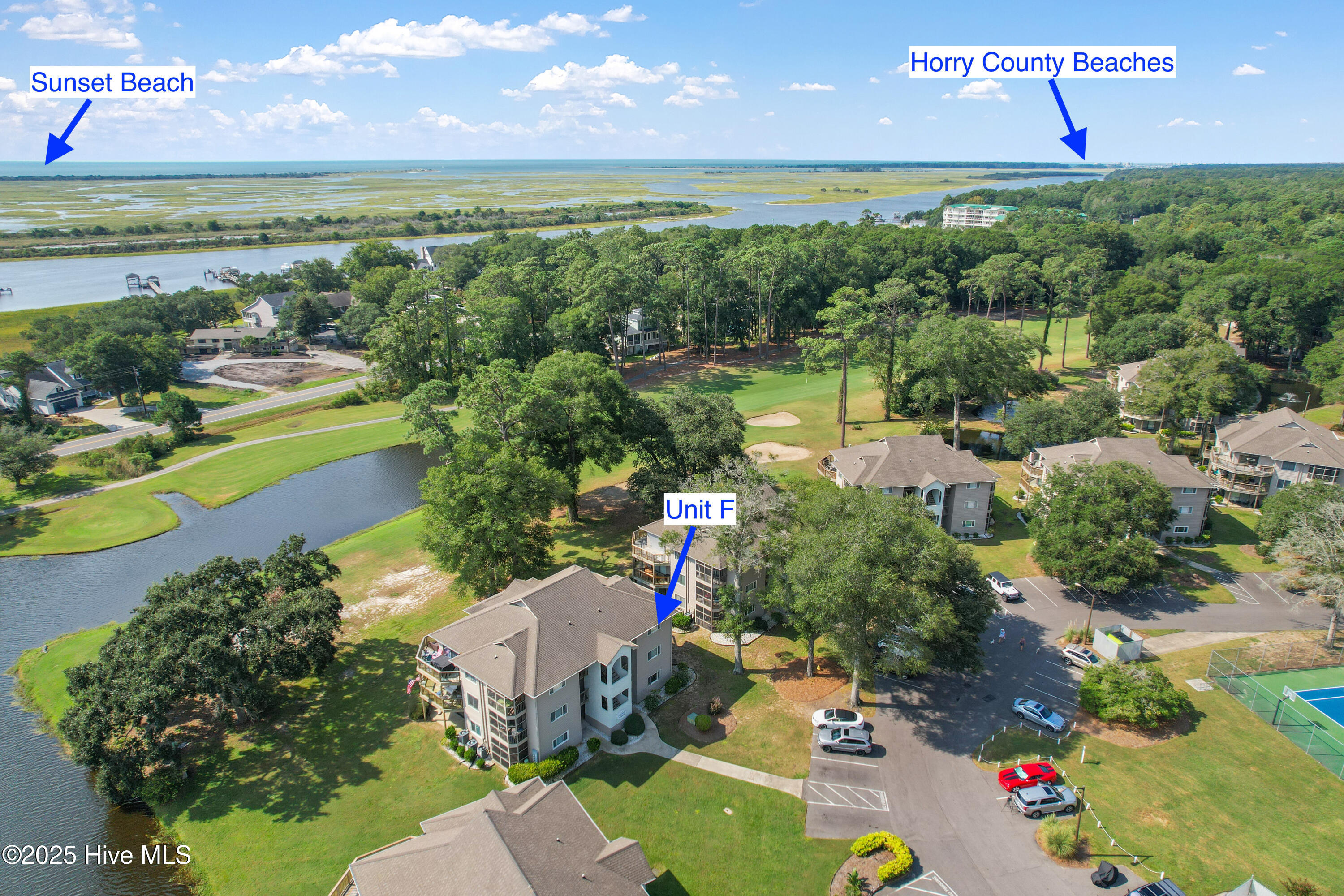 100555696 | Photo 24