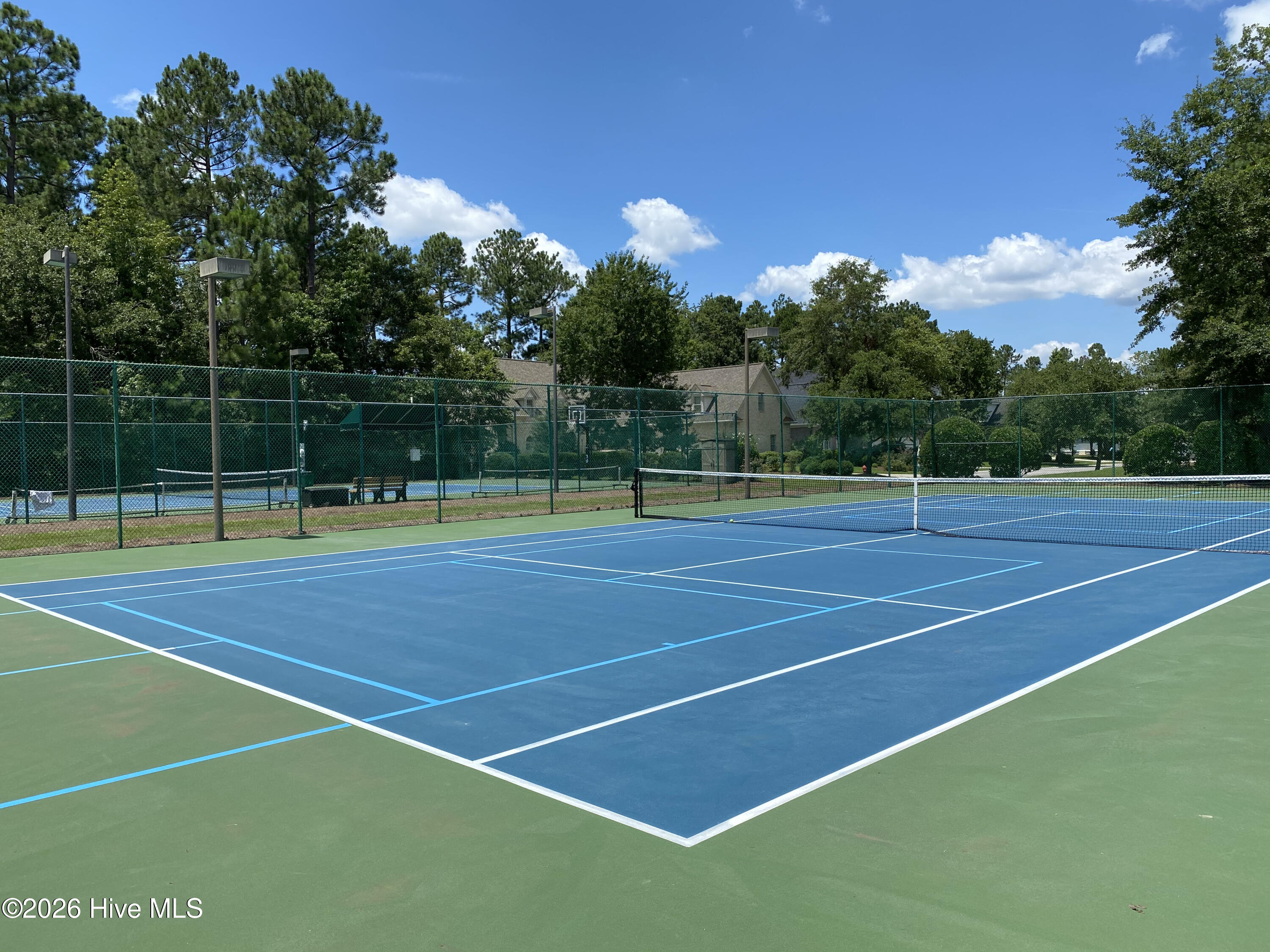 100565285 | Photo 76