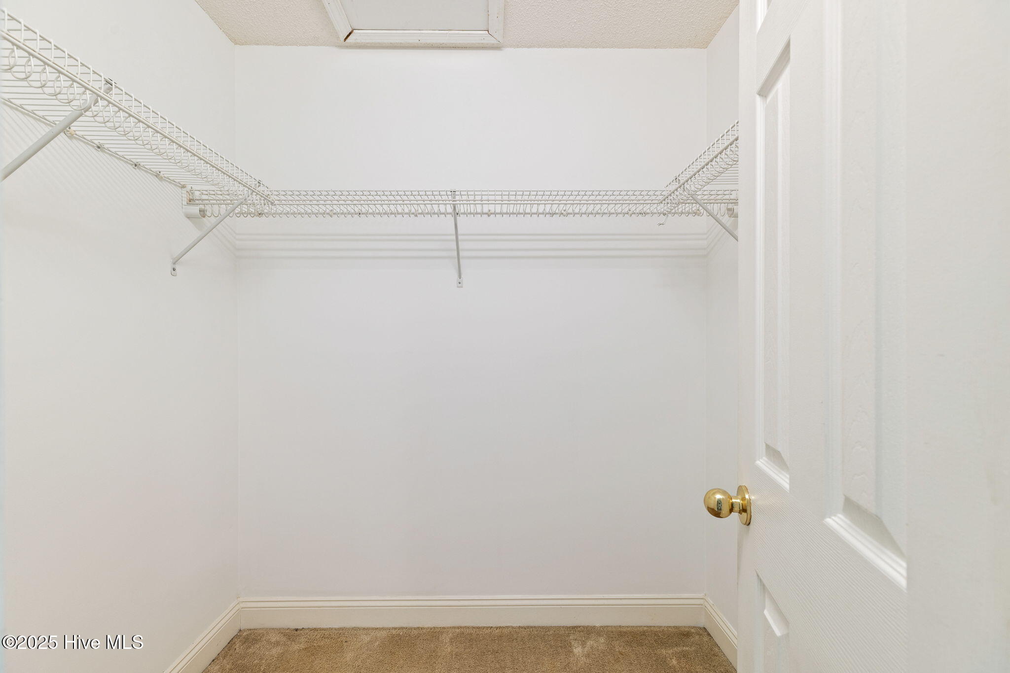 100531614 | Photo 25