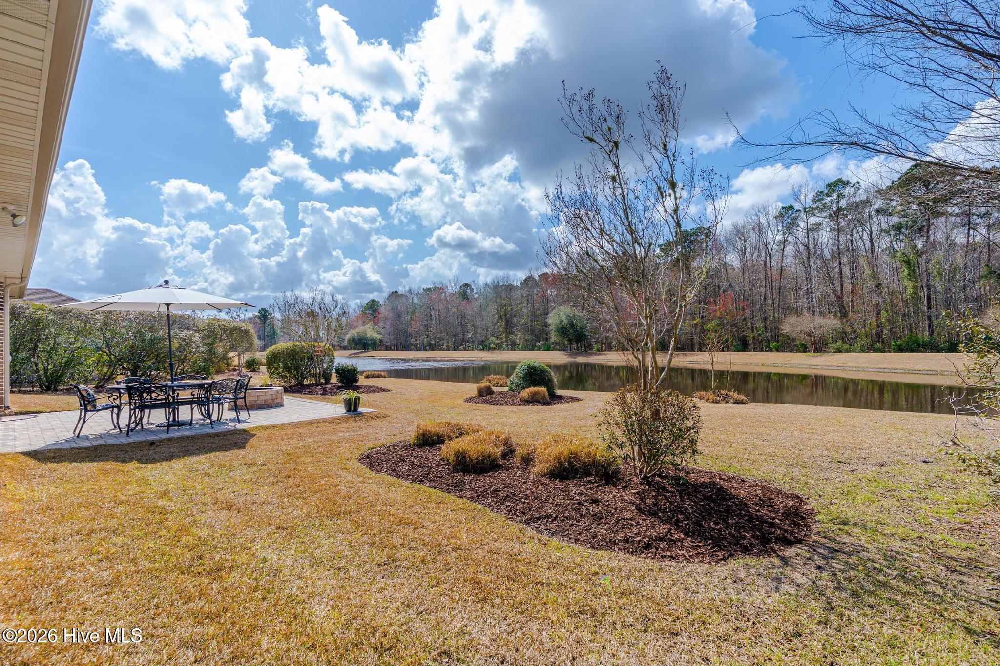 100559631 | Photo 43