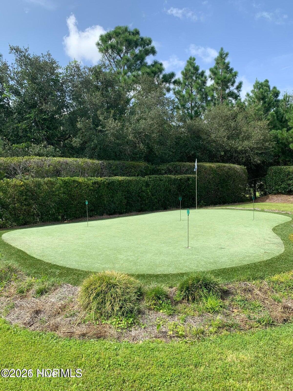 100537475 | Photo 54