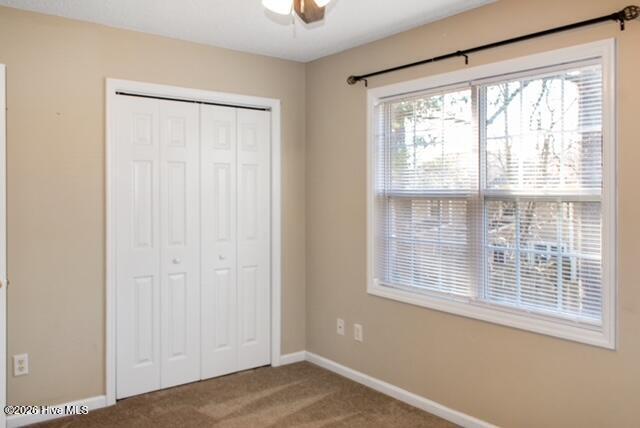 100554140 | Photo 10