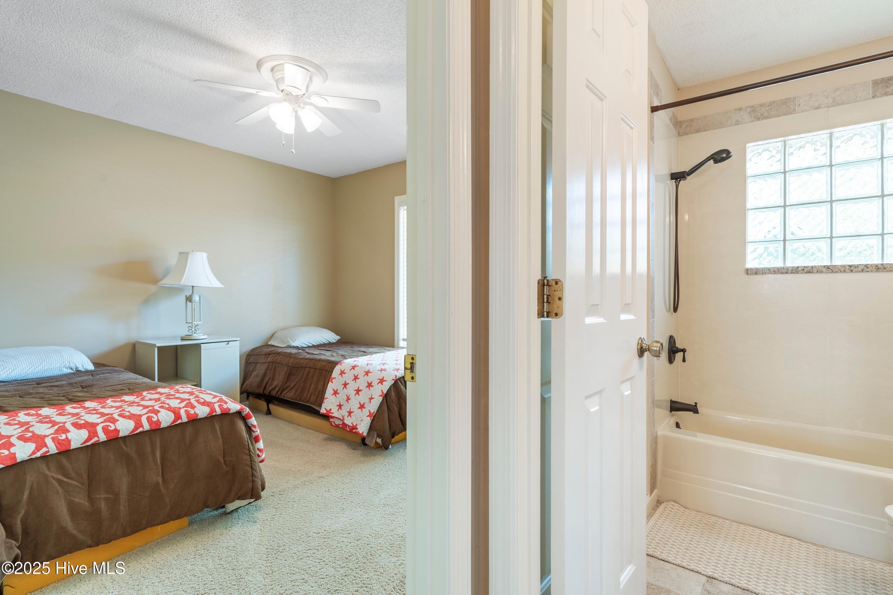 100517160 | Photo 43