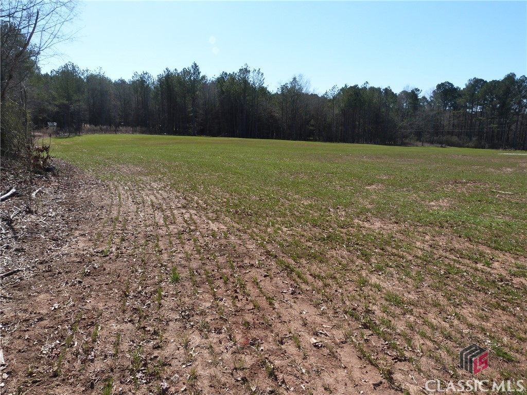 0 Hwy 186, Good Hope, GA, 30641