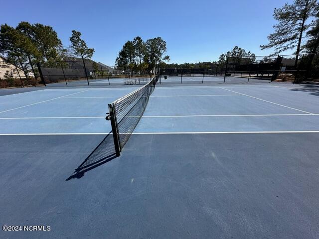 100532642 | Photo 24