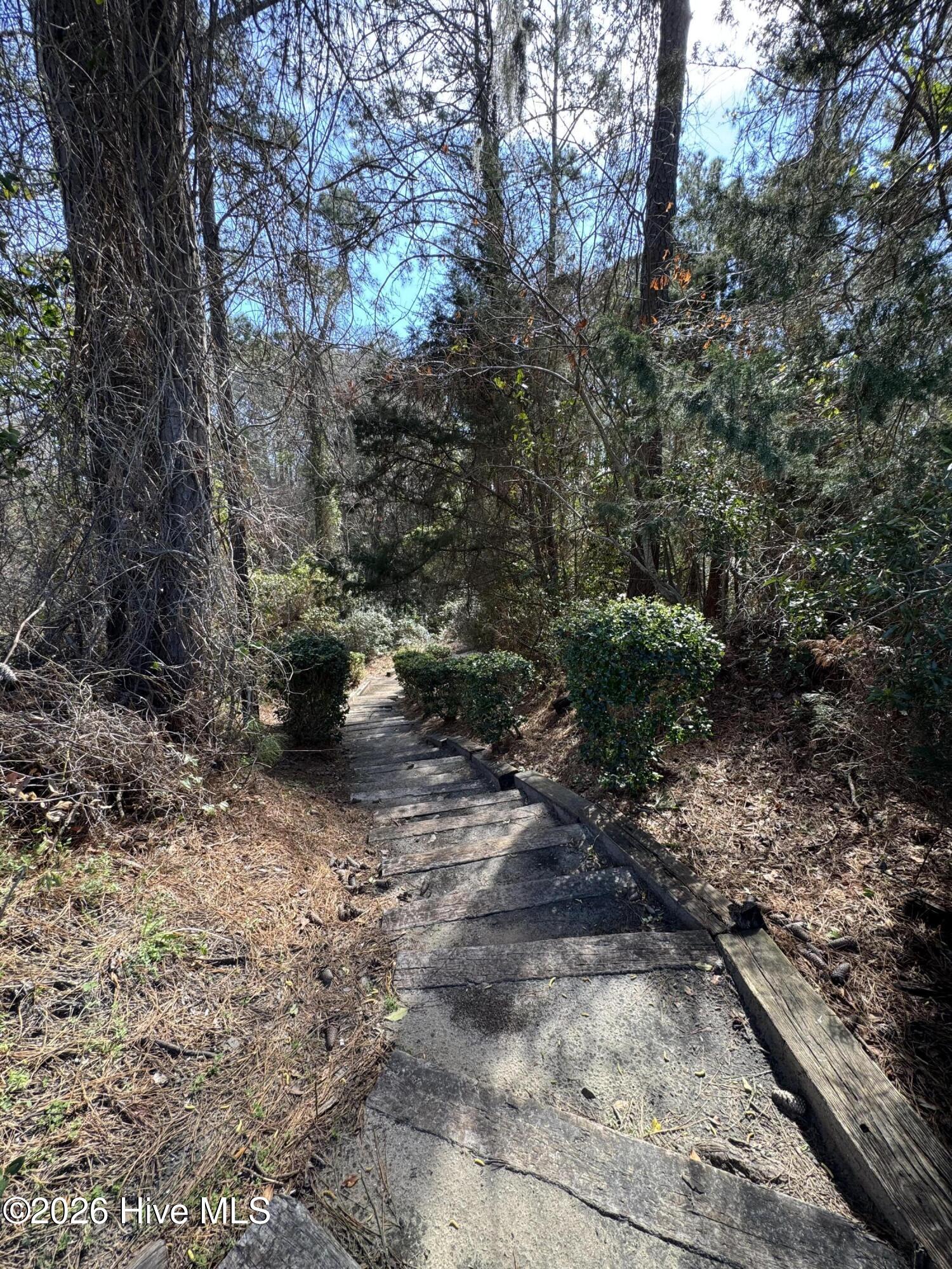 100560946 | Photo 43