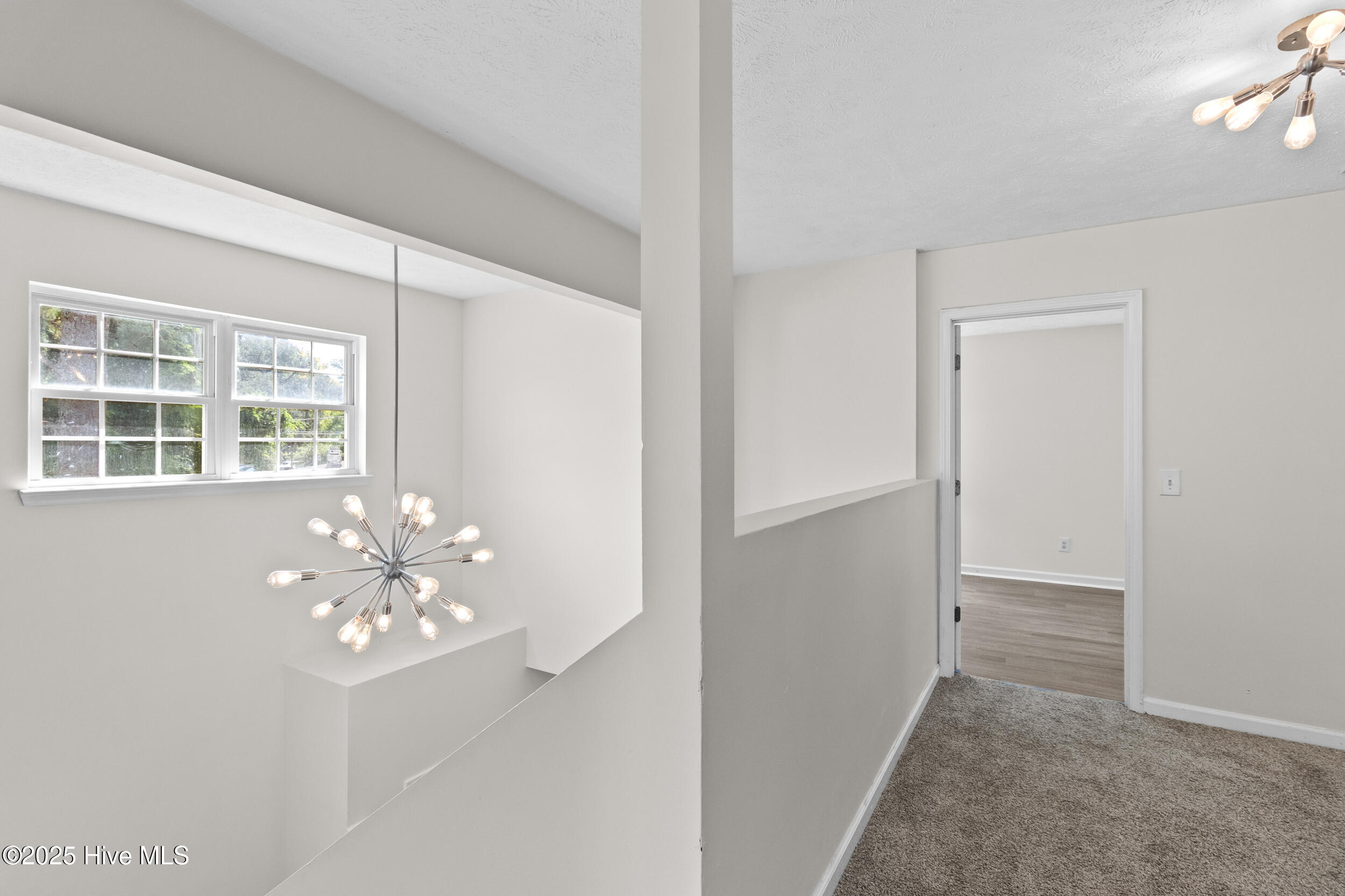 100531865 | Photo 21