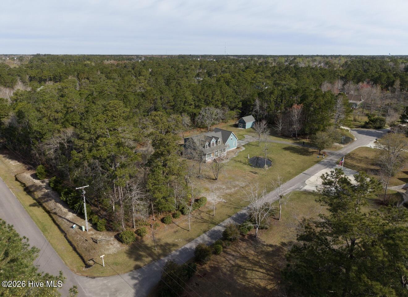 100558981 | Photo 31