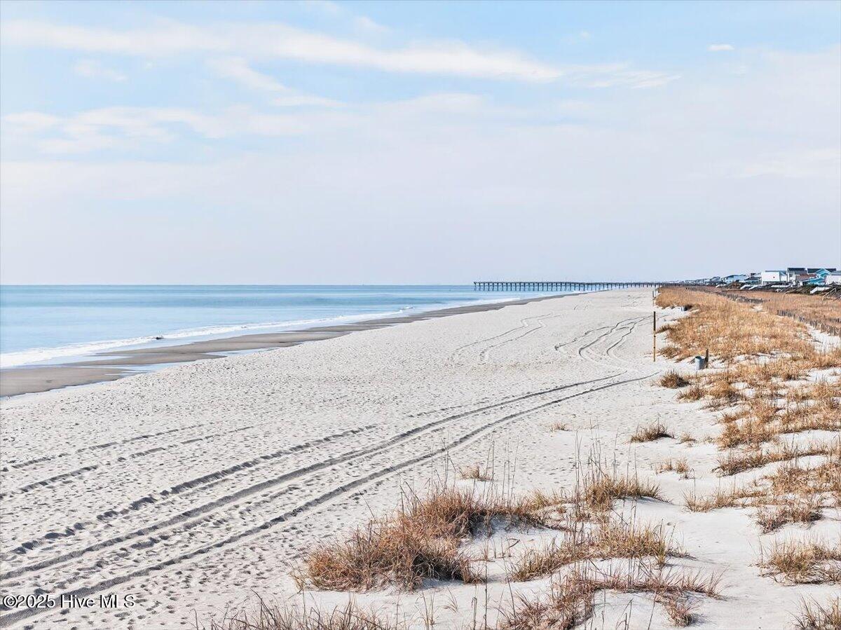 100531909 | Photo 42