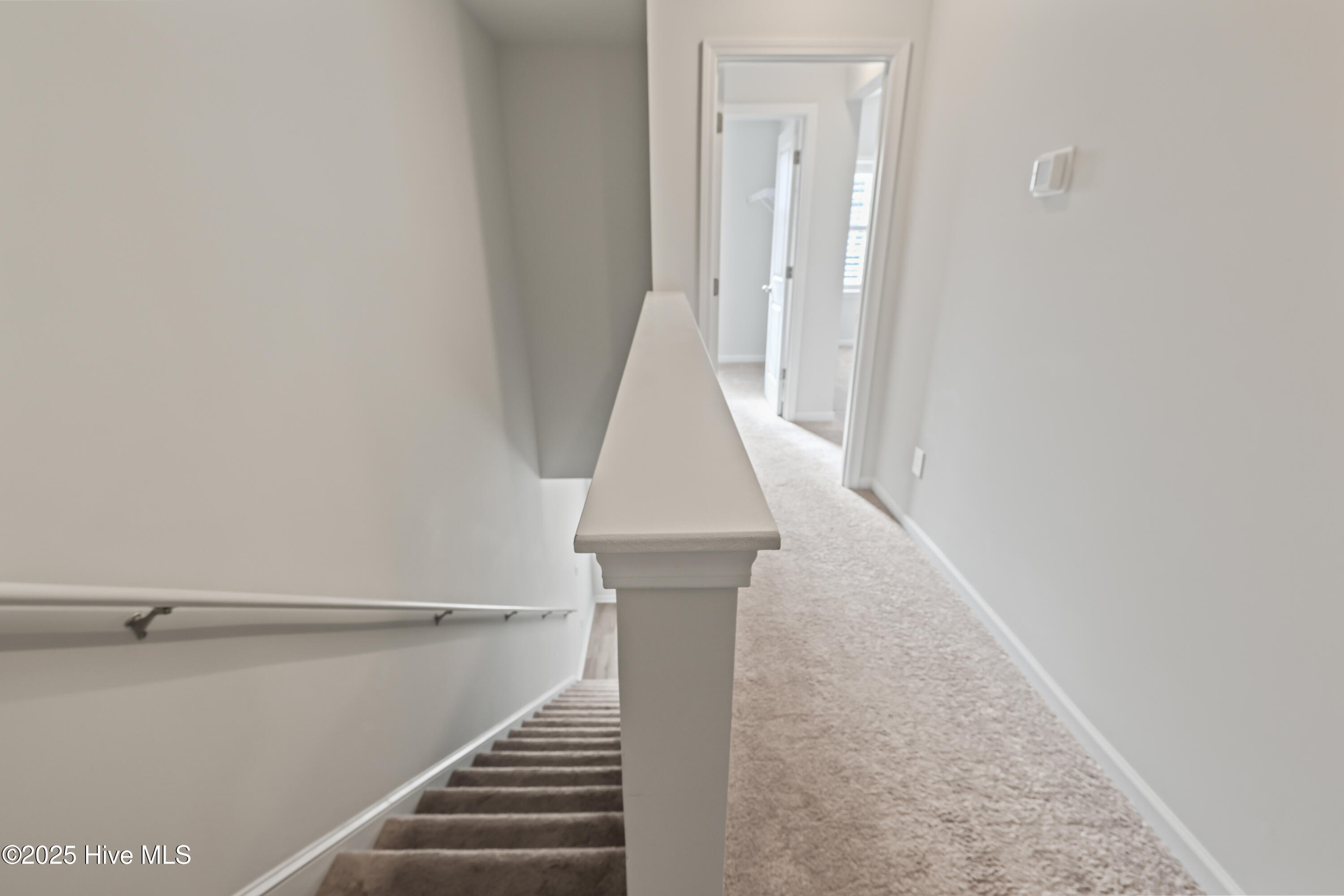 100546543 | Photo 18