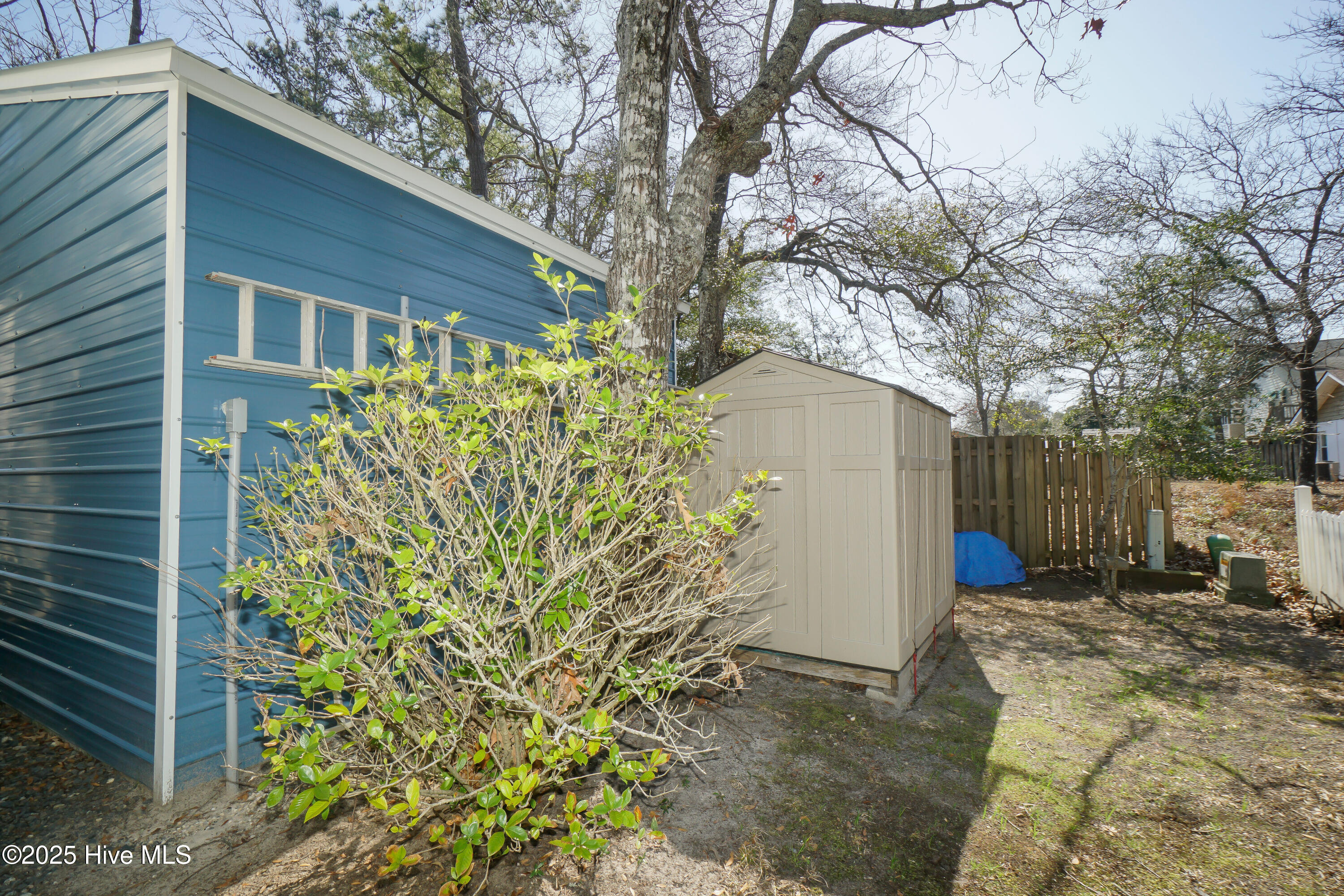 100559254 | Photo 30