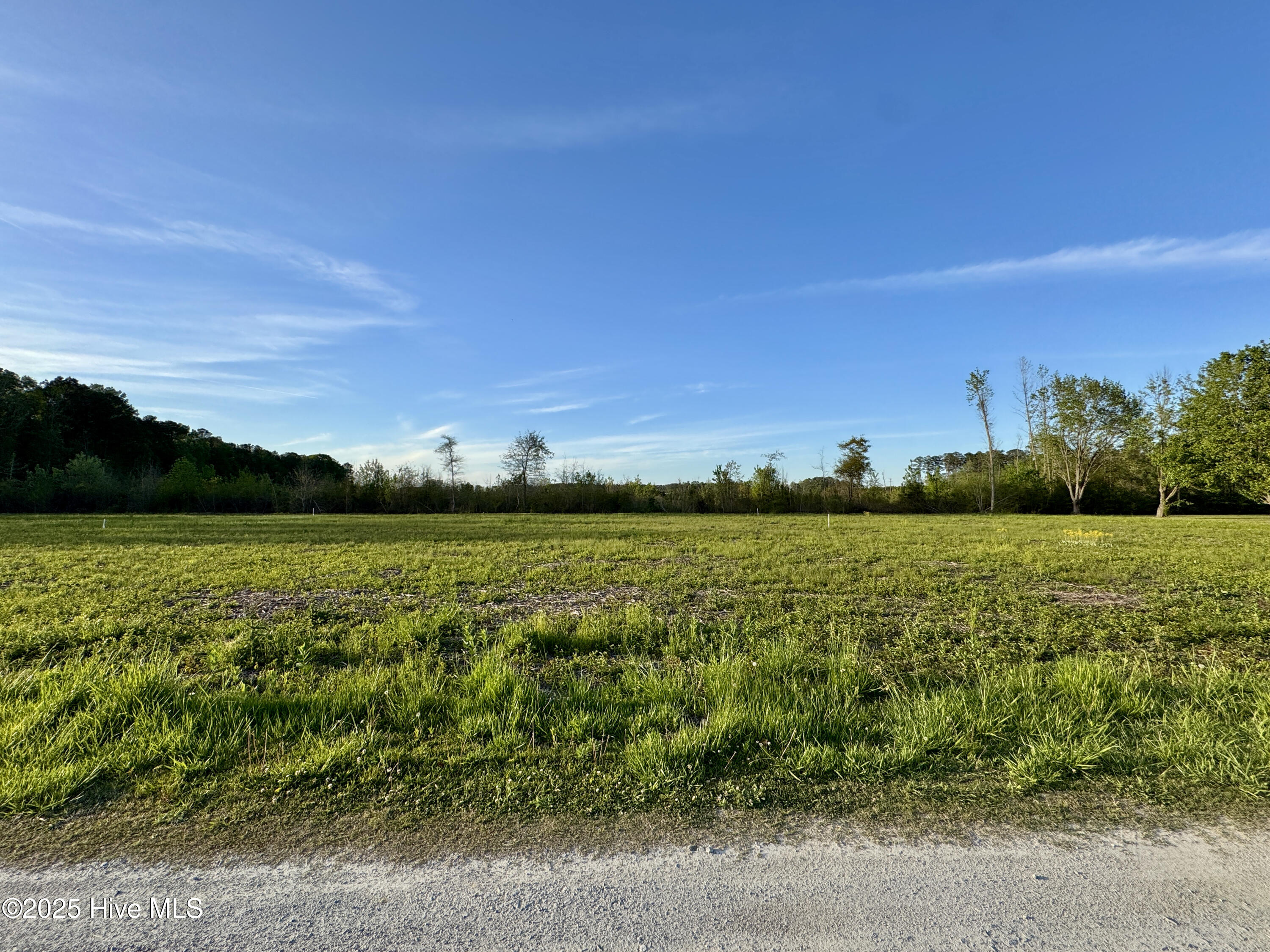 8C6E3F82-A0B1-488E-9DAE-8FFD6FCC13F3_1_2