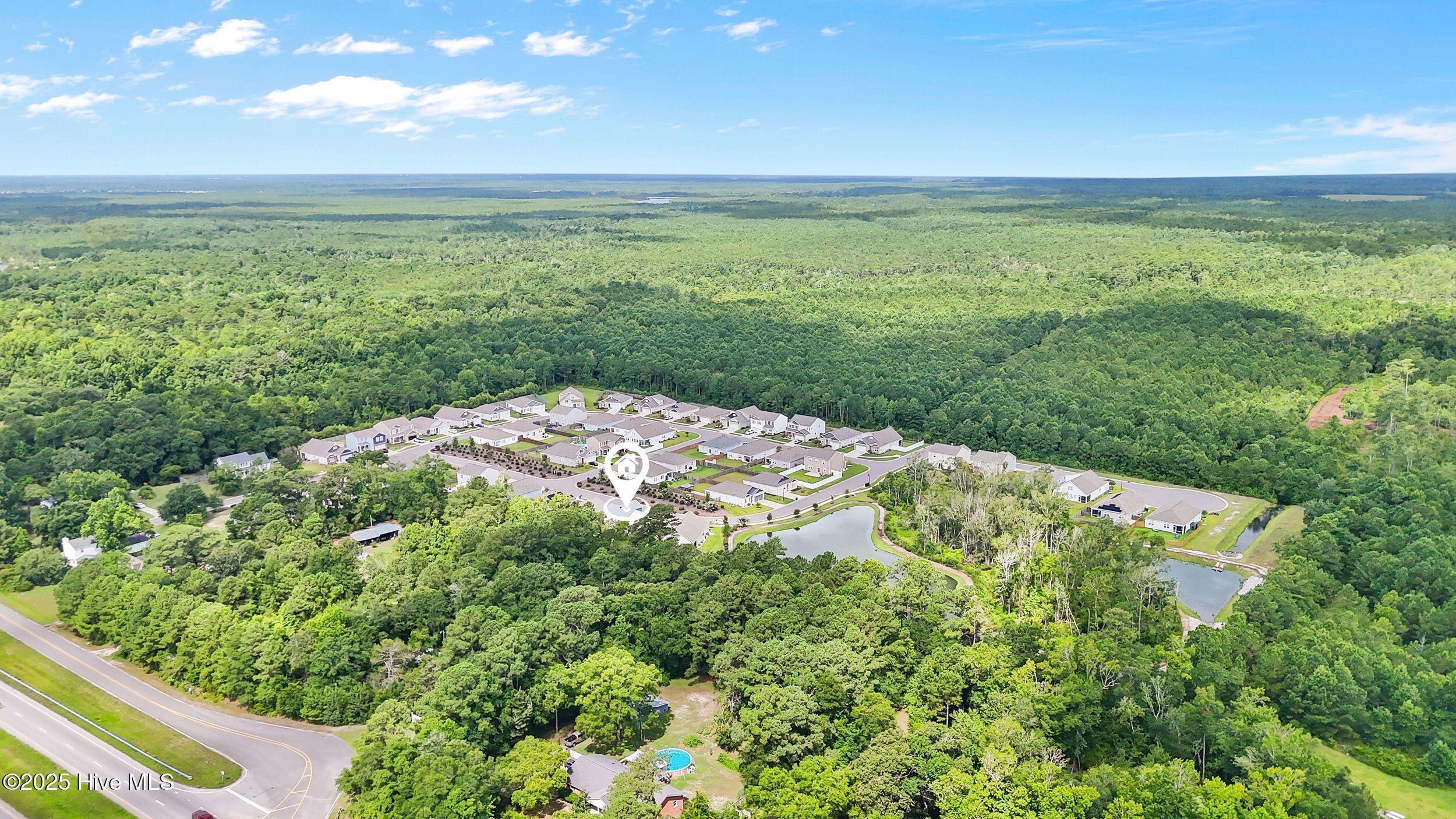 100519955 | Photo 49