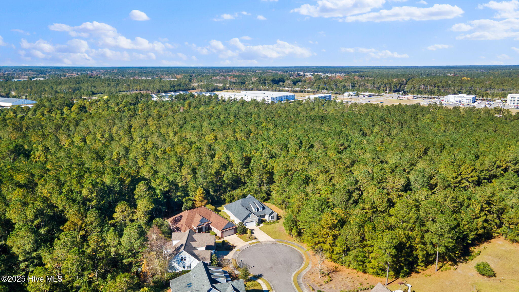 100542044 | Photo 54