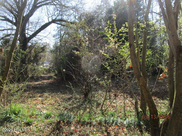 112 Baxter Grove Road, Moyock, NC, 27958