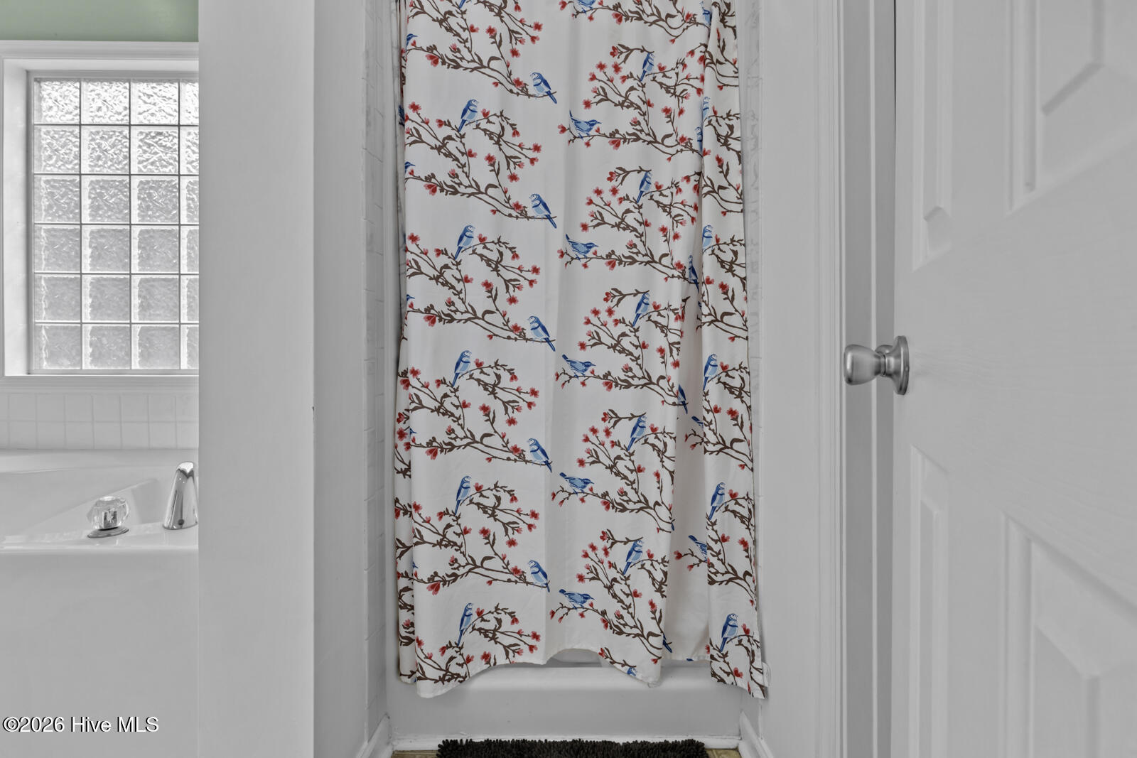 100562743 | Photo 33