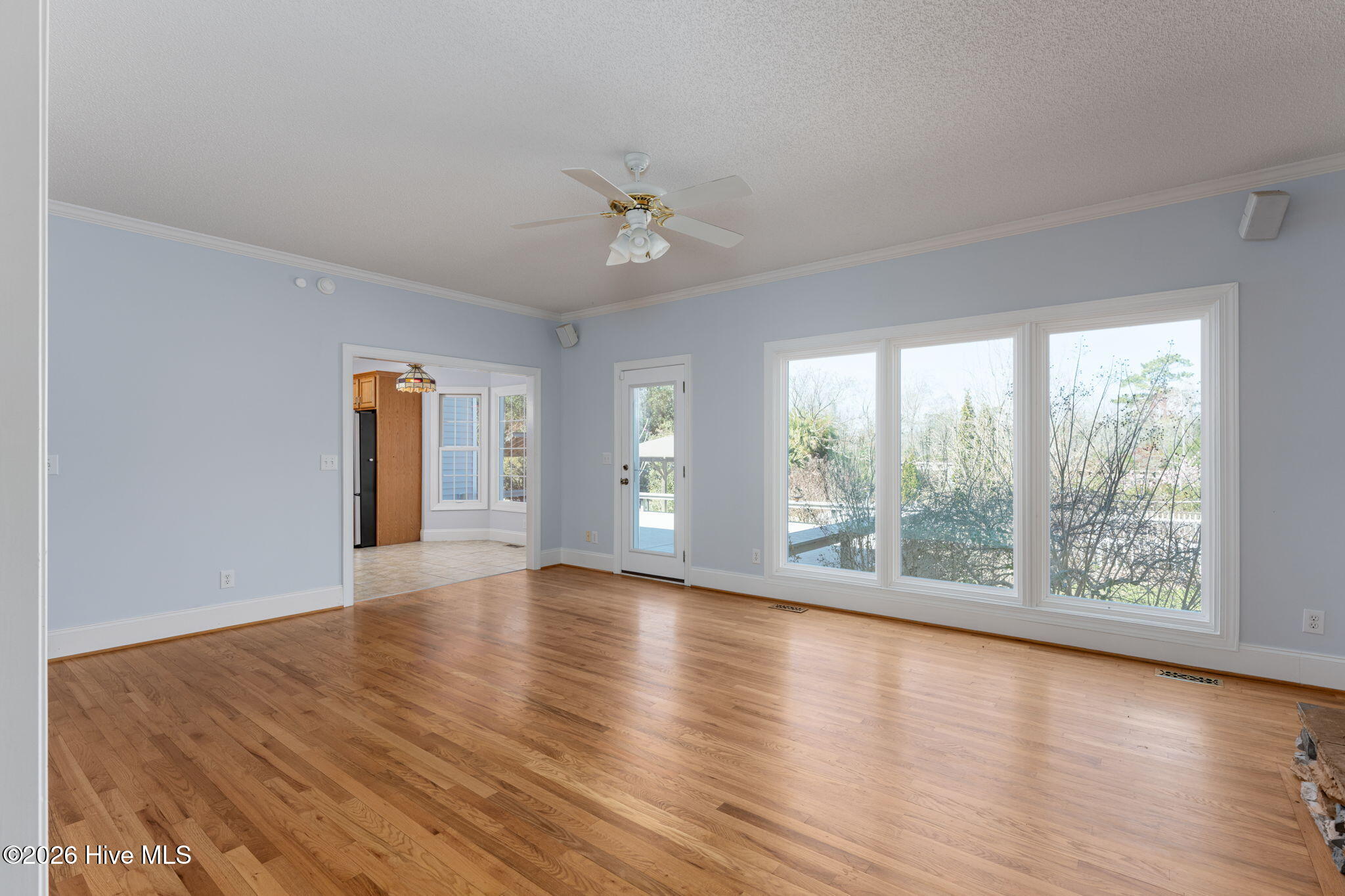 100552056 | Photo 20