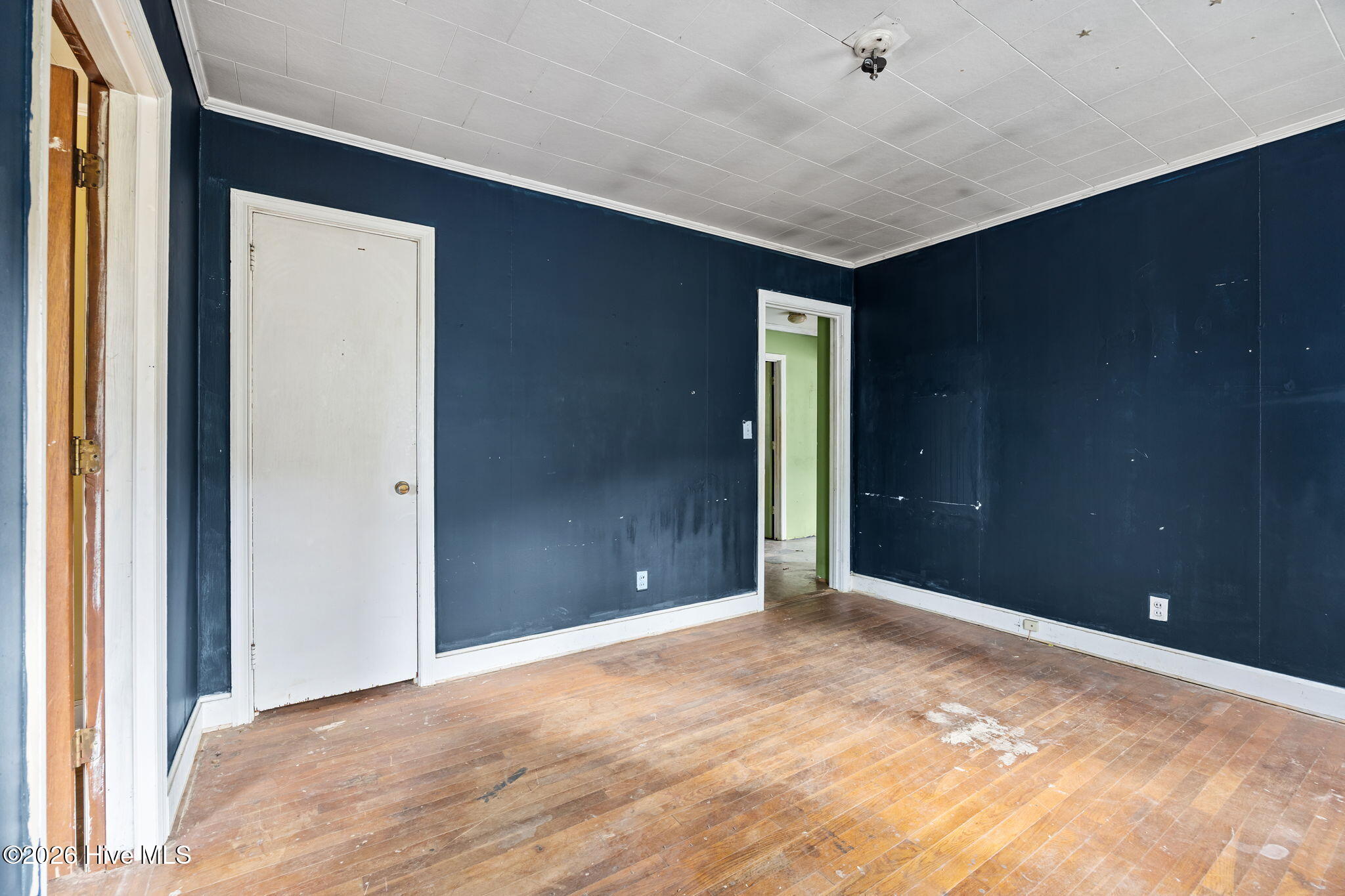 100565134 | Photo 25