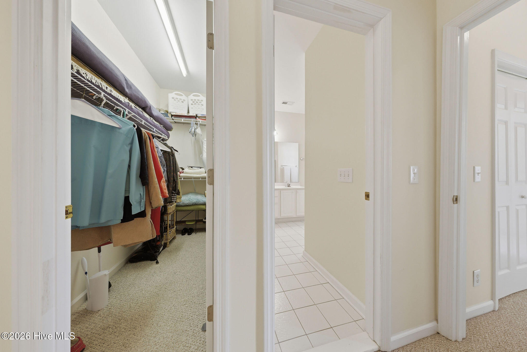 100560993 | Photo 30