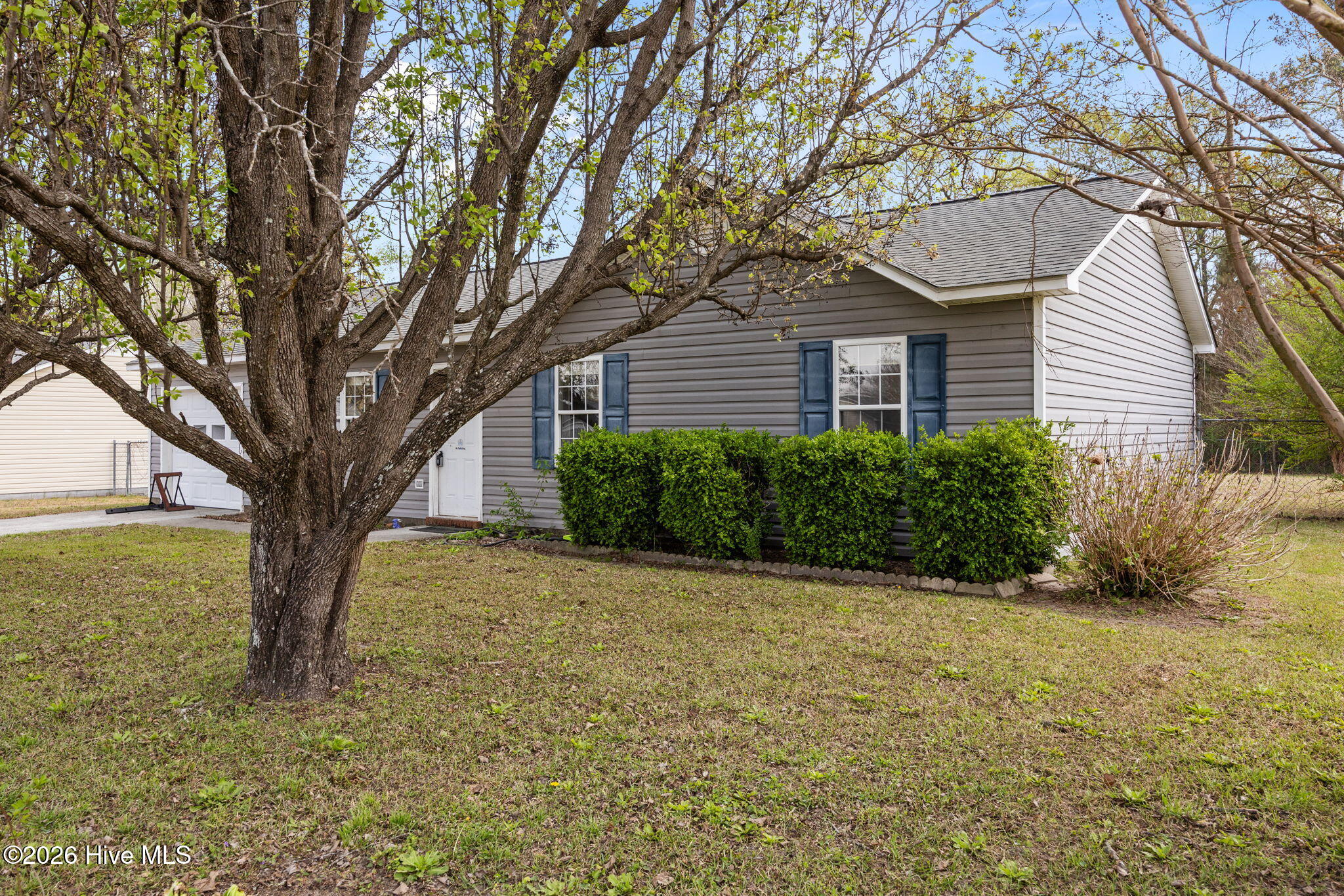 100562262 | Photo 37