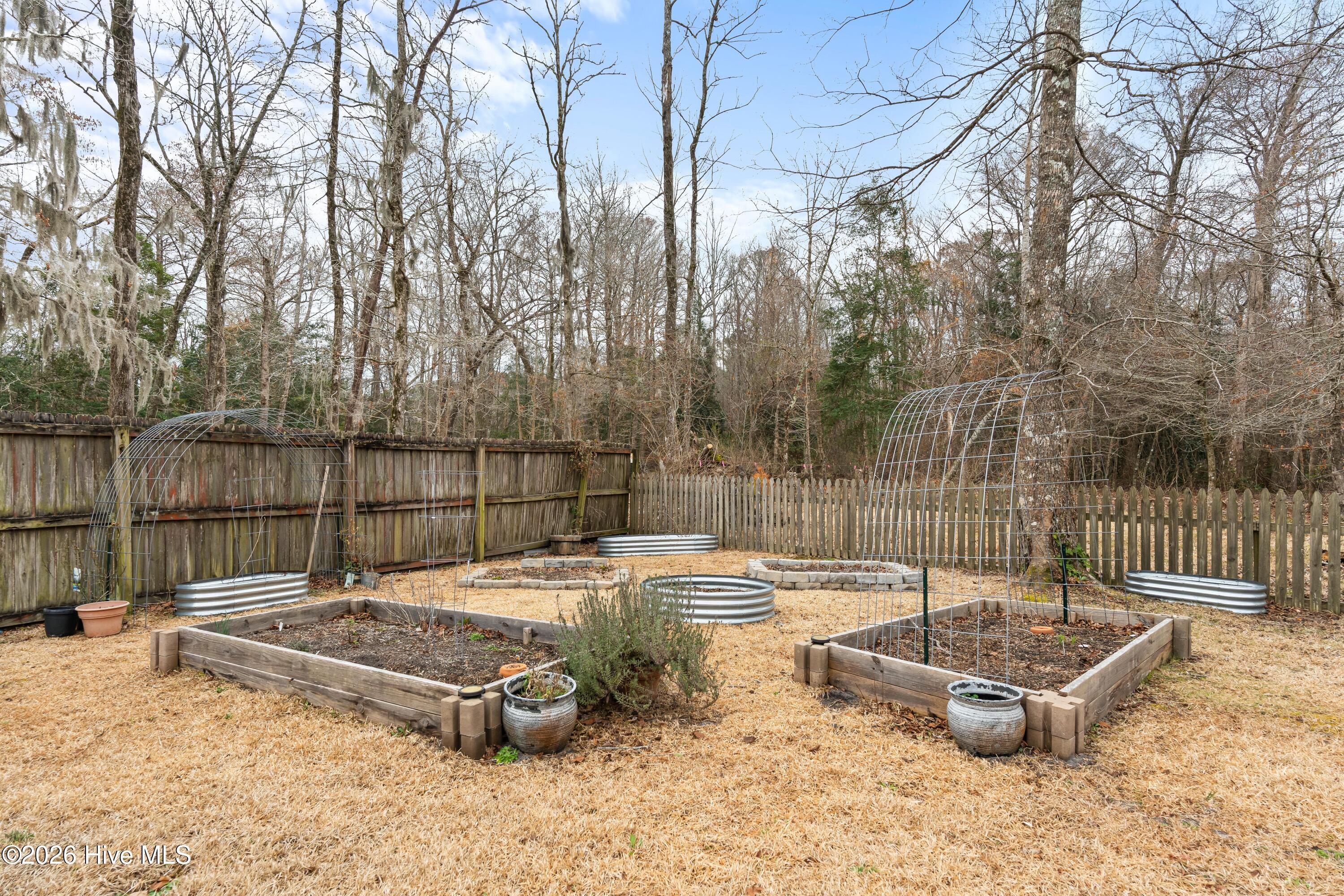 100556314 | Photo 67