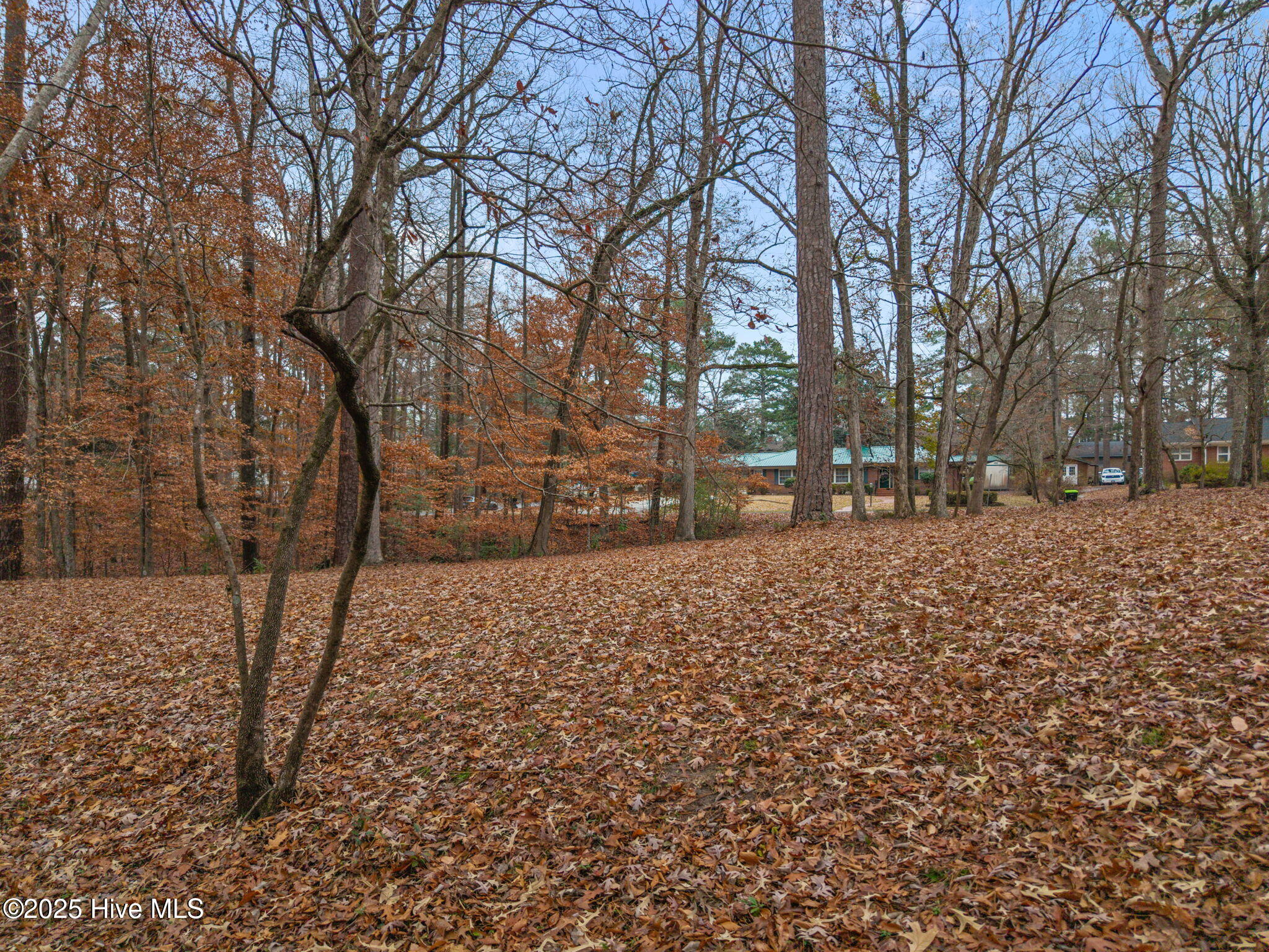 5-web-or-mls-DJI_20251208123455_0043_D