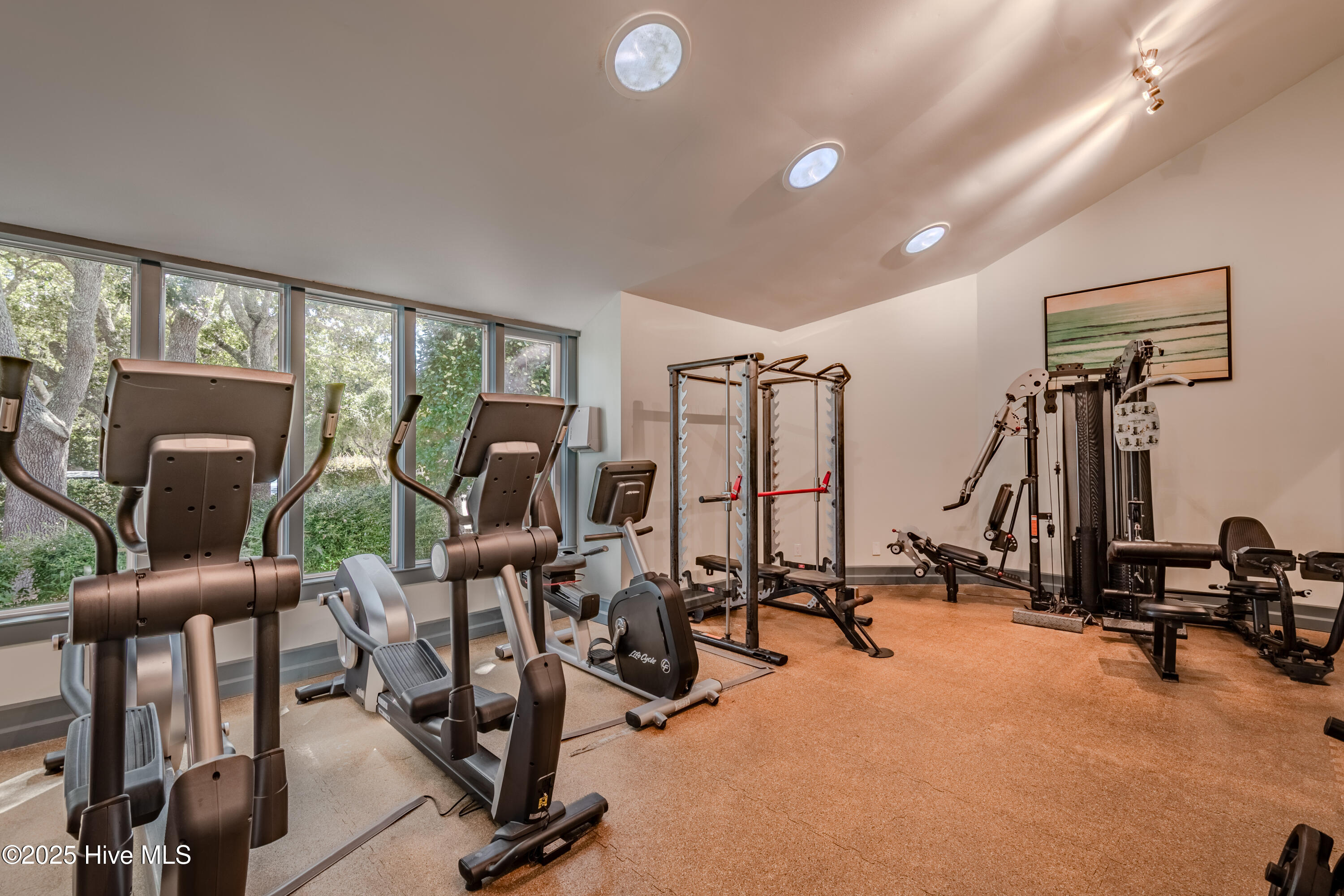 100535213 | Photo 38