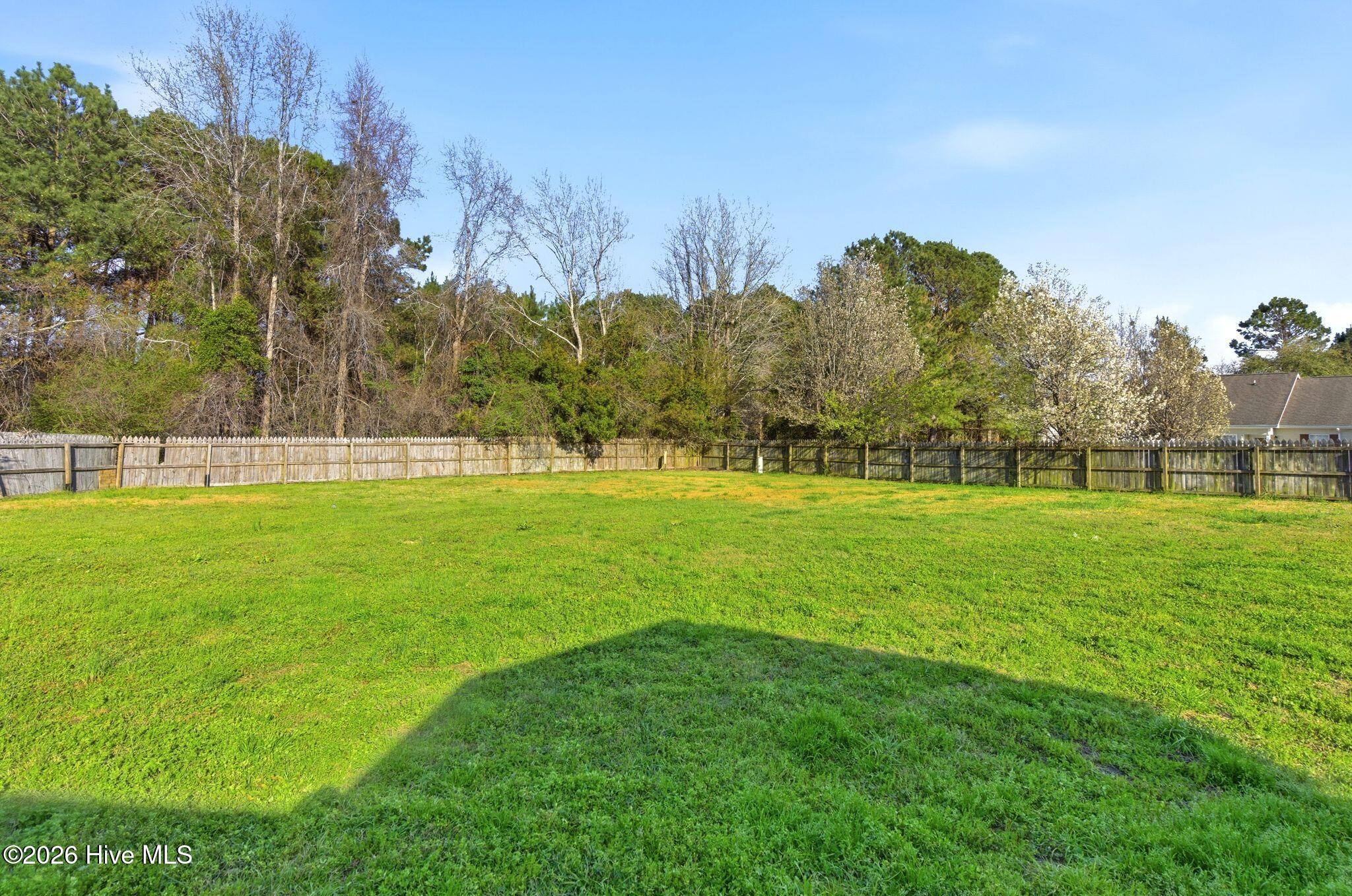 100561661 | Photo 35