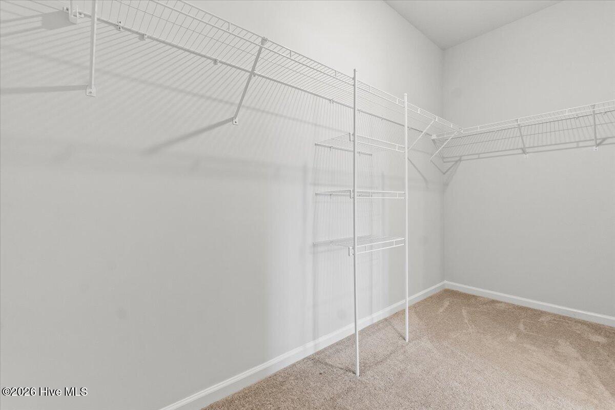 100567069 | Photo 24