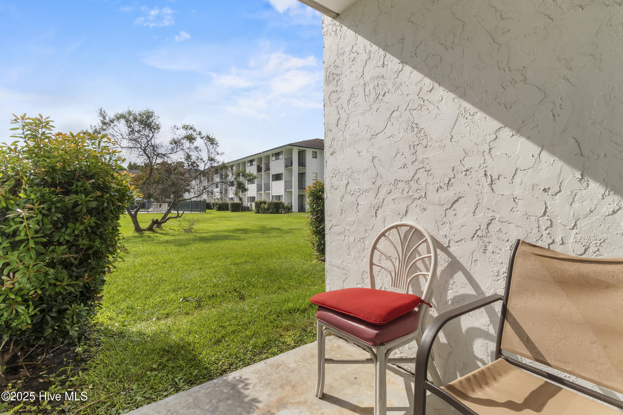 100533245 | Photo 13