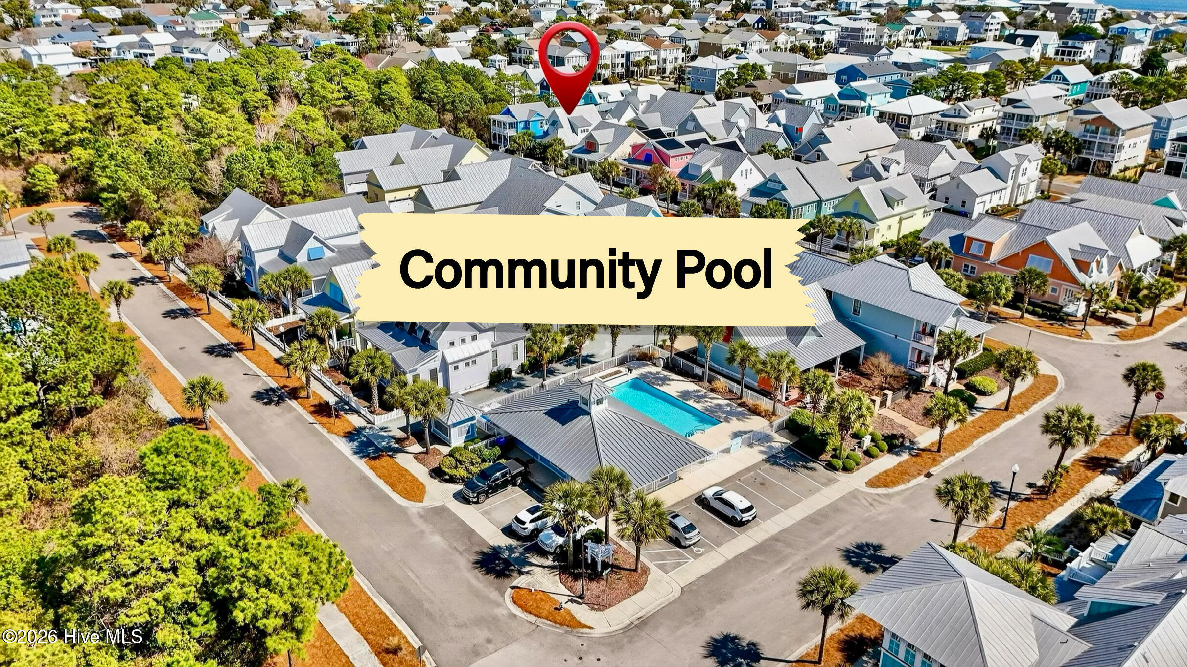 100559035 | Photo 46