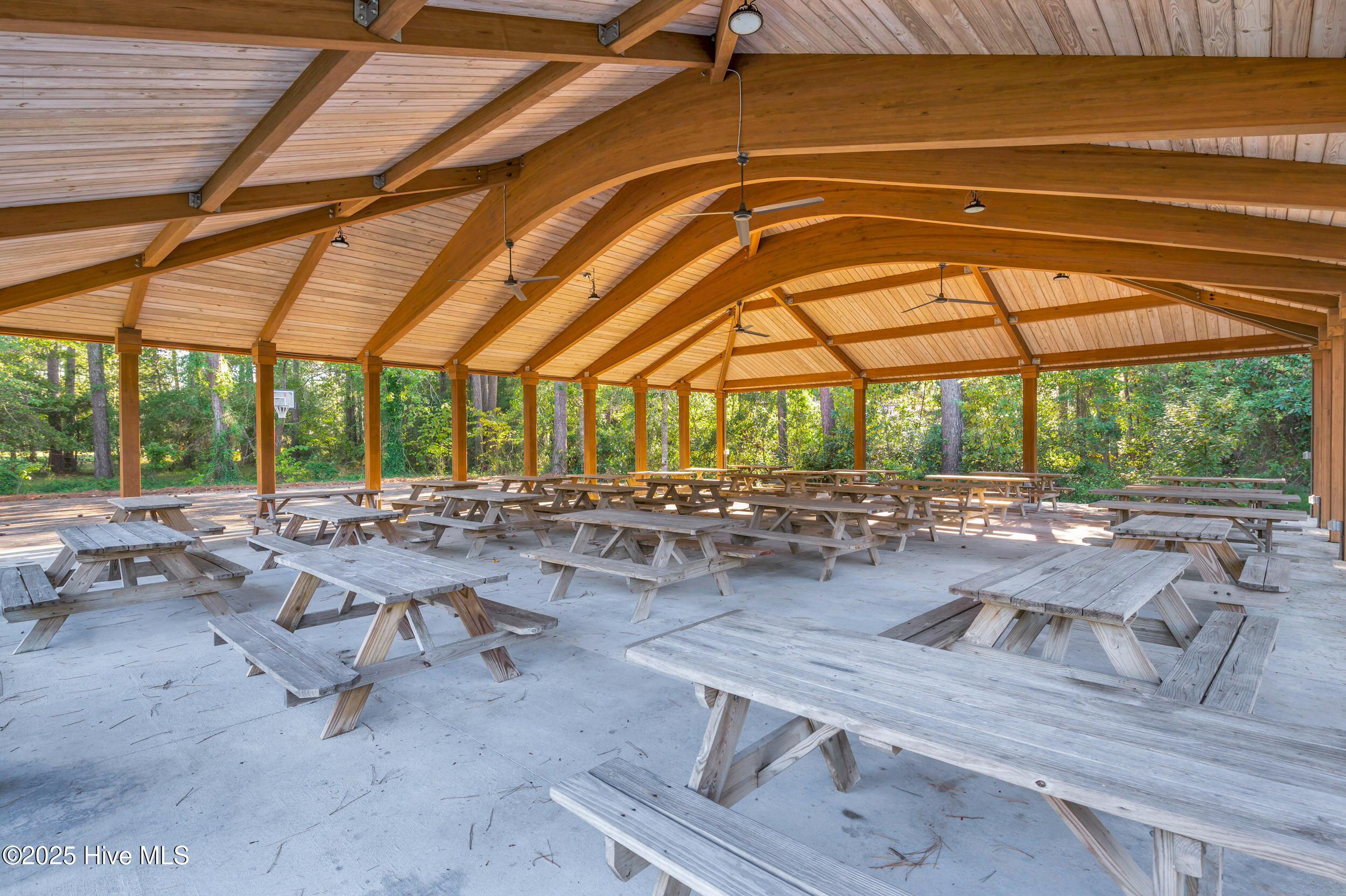 100538752 | Photo 54