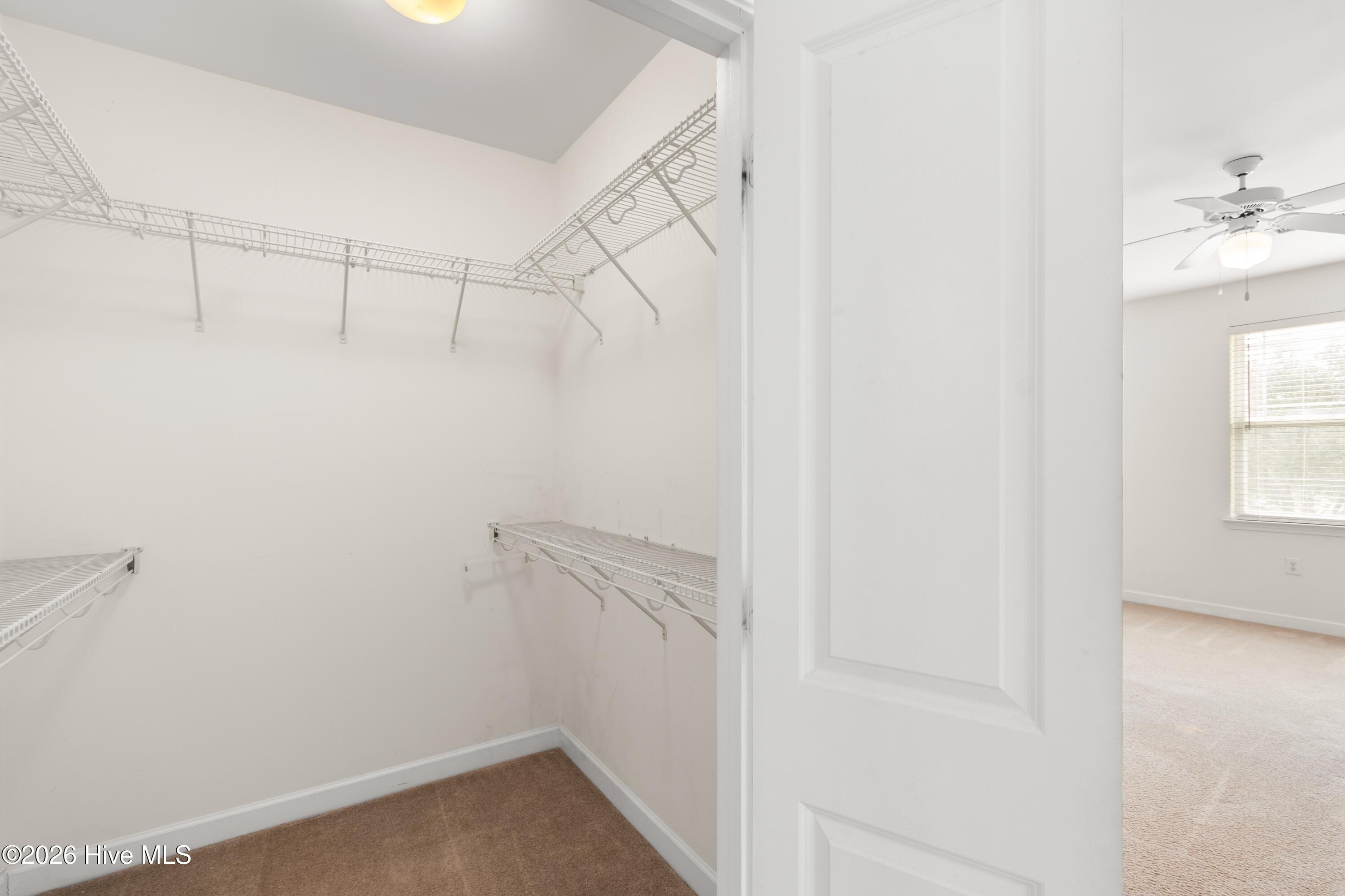 100557008 | Photo 20