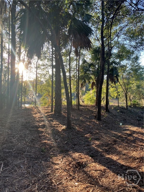 Lot 8 Hudson Creek, Darien, Georgia, 0 ,Land,For sale,Hudson Creek,SA346197 Lot 8 Hudson Creek, Darien, Georgia, 0 ,Land,For sale,Hudson Creek,SA346197