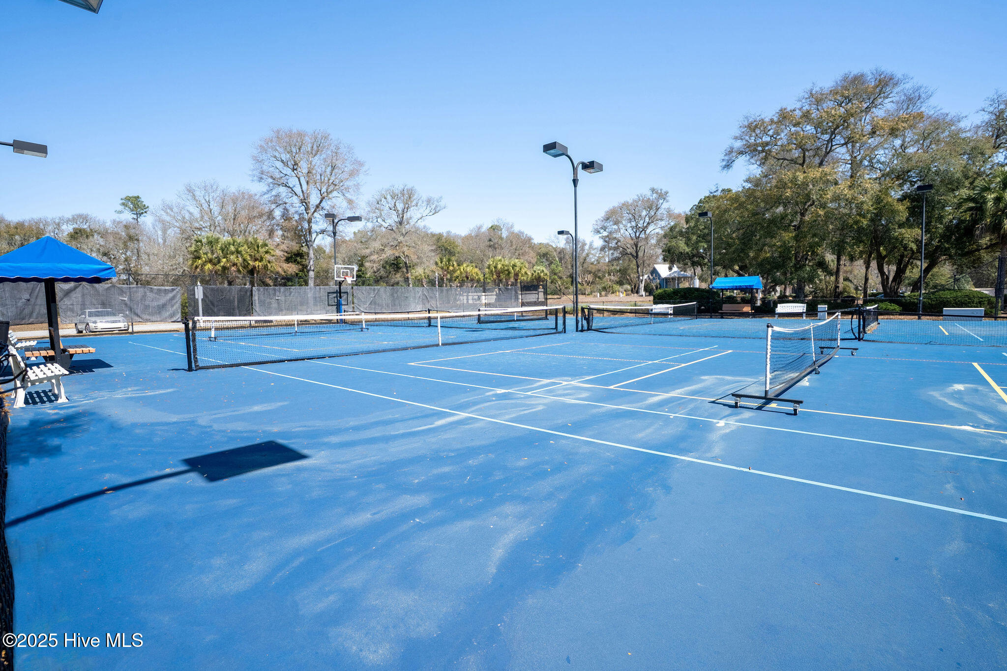 100518785 | Photo 66